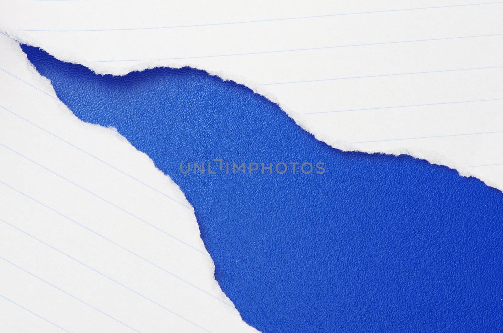 torn paper with space for your message