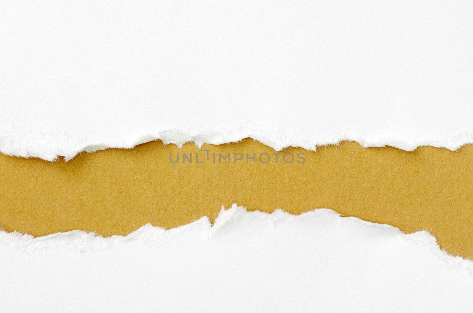torn paper with space for your message