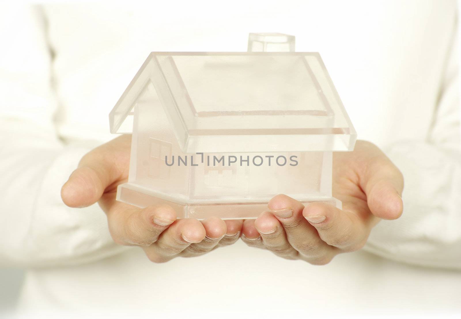 The house in human hands on white