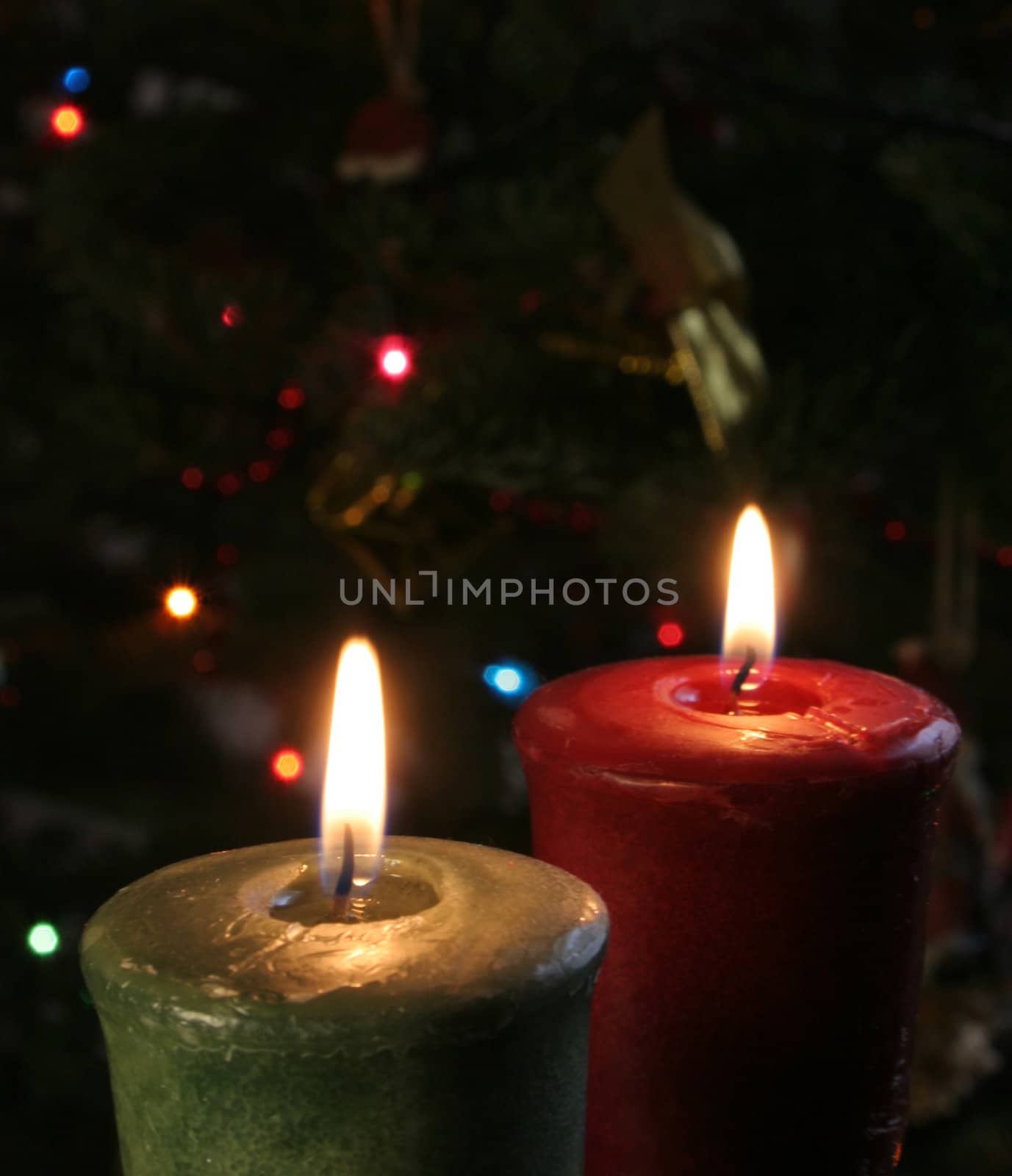Christmas candles set against a tree.