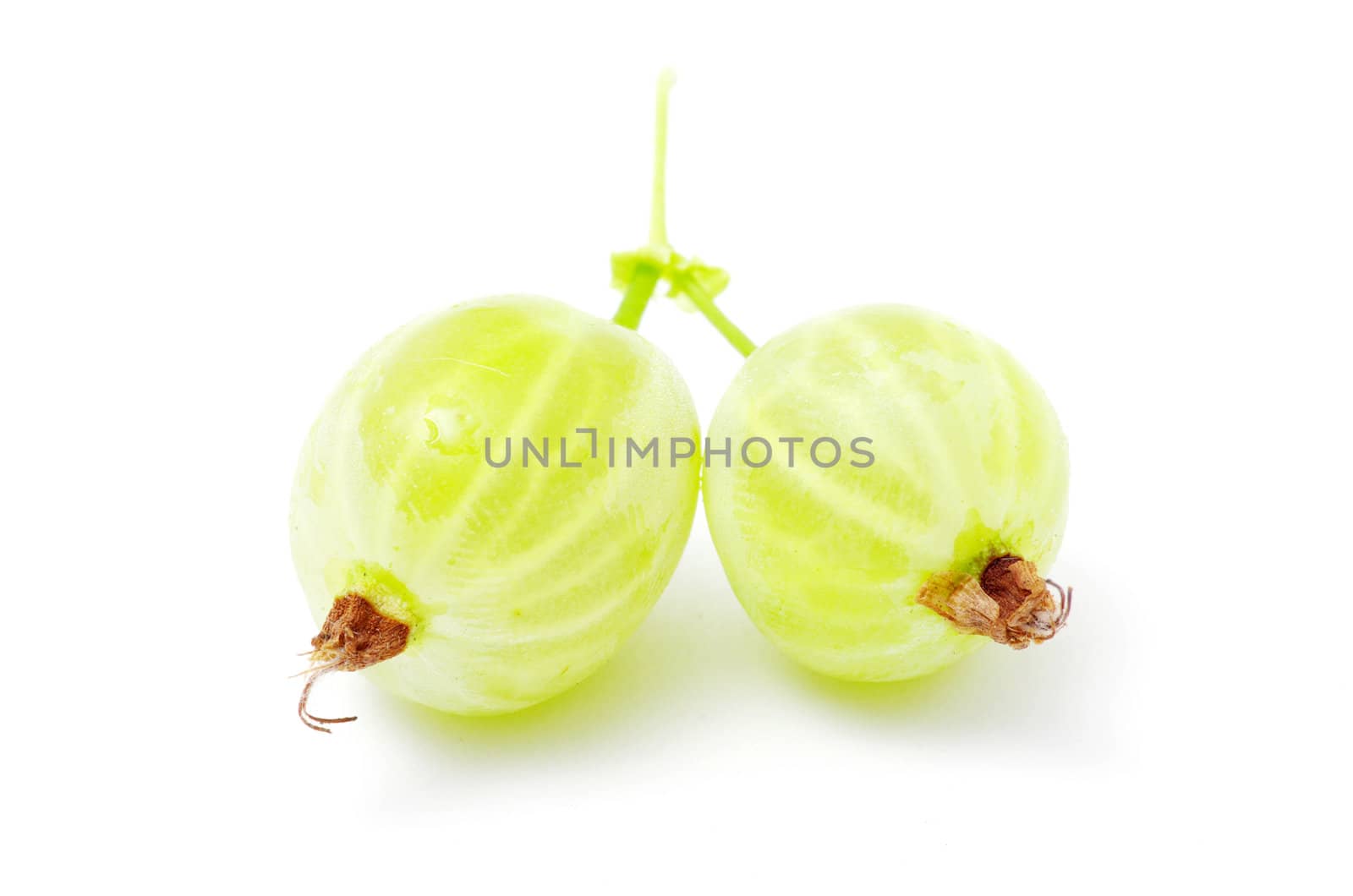 Green gooseberry fruit on white