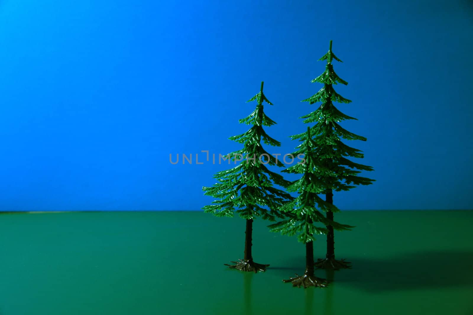 Trees on a dark blue and green background