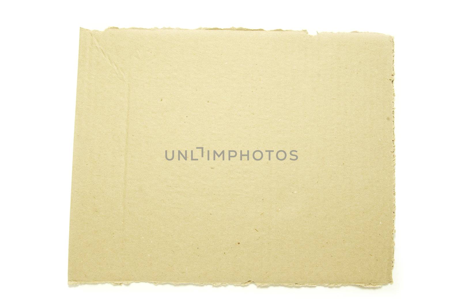 Ripped piece of cardboard on white