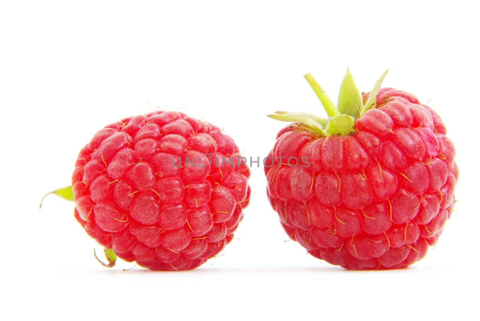 fresh raspberry closeup isolated on white background
