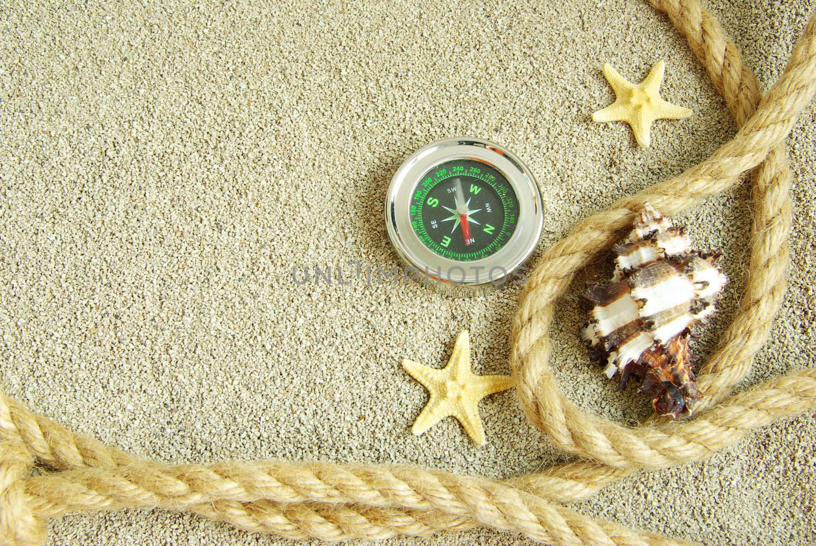 starfish and shells in rope on sand