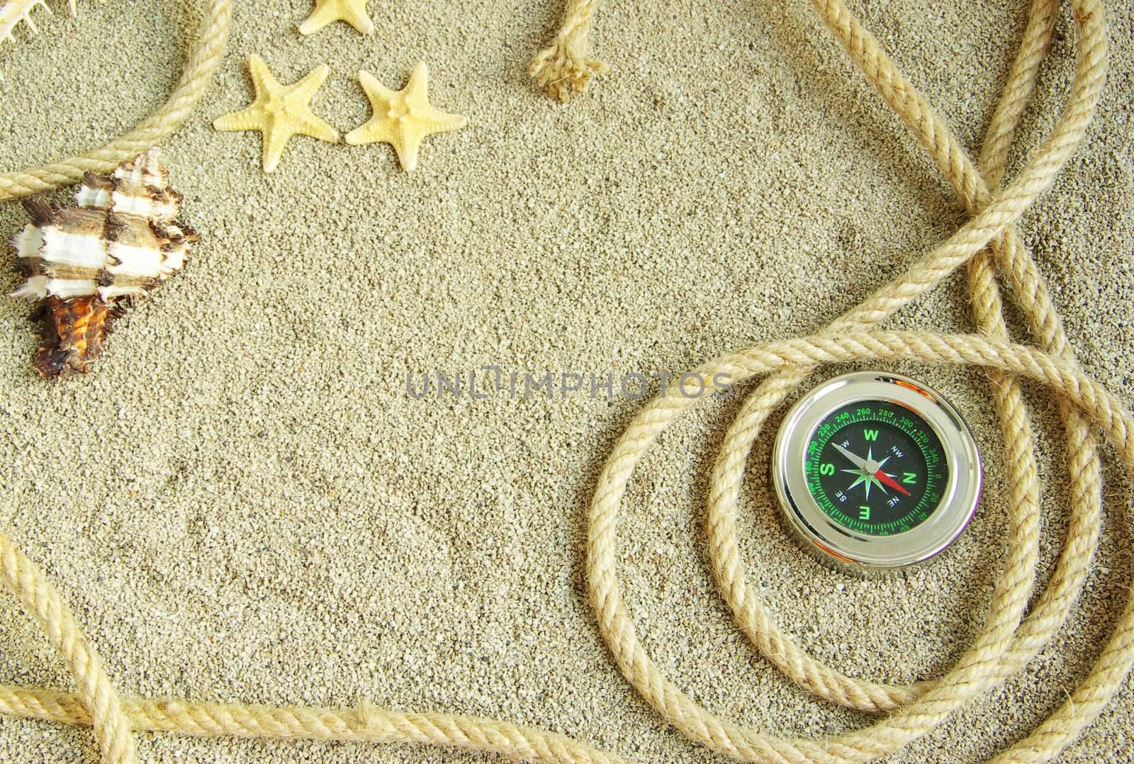 starfish and shells in rope on sand