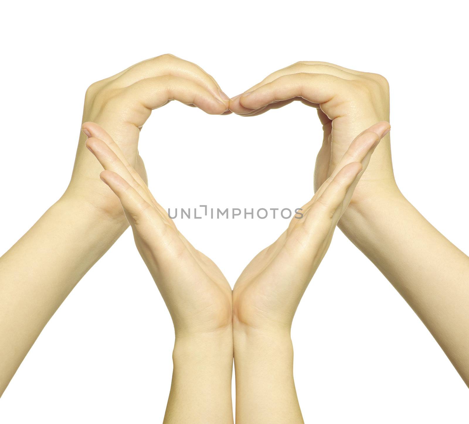 woman’s hands made in the form of heart