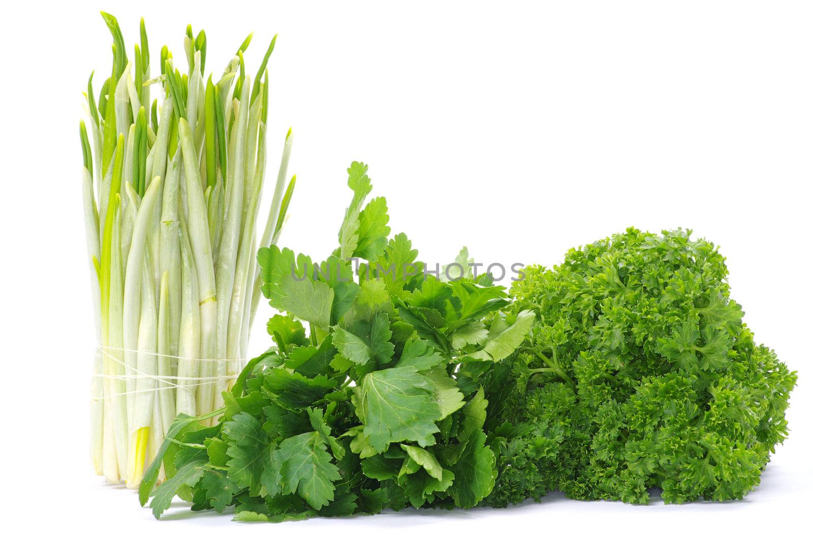 Fresh herbs isolated on white