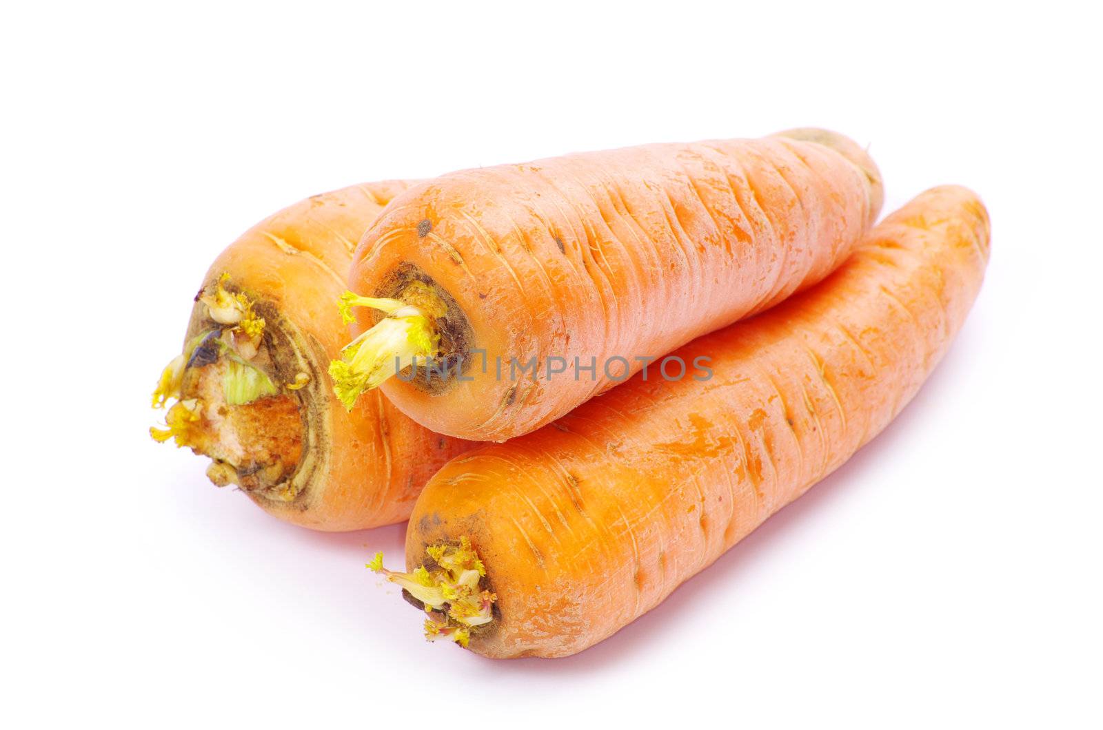 carrots isolated on a white