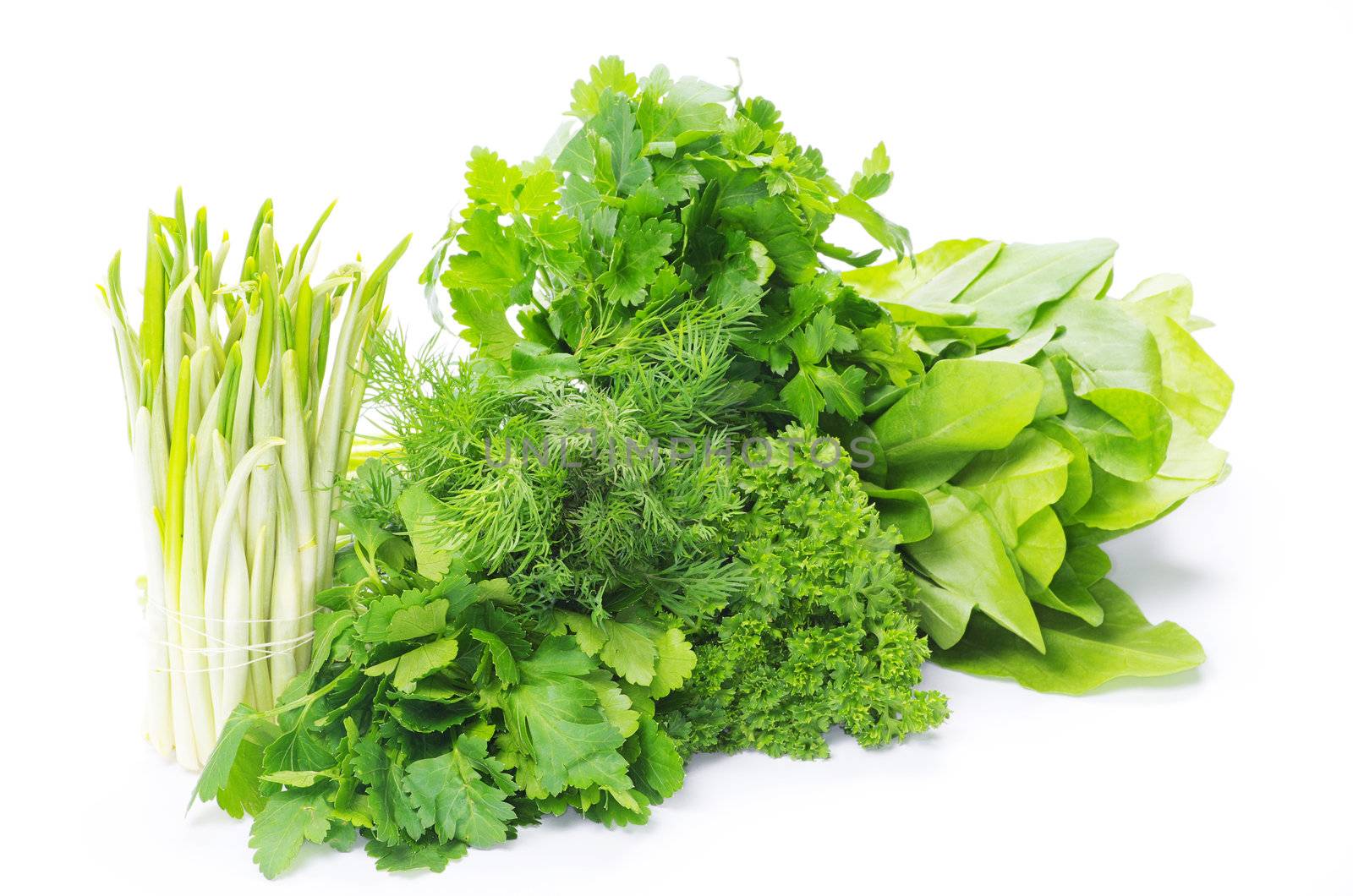 Fresh herbs isolated on white