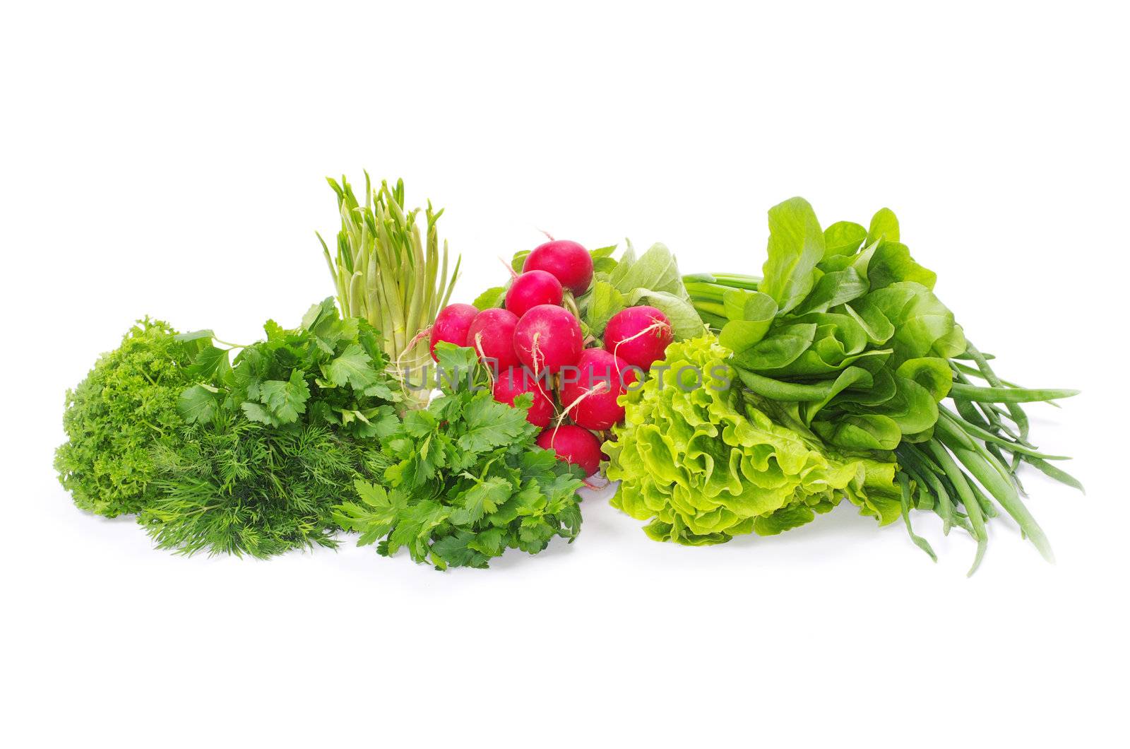 herbs isolated on a white