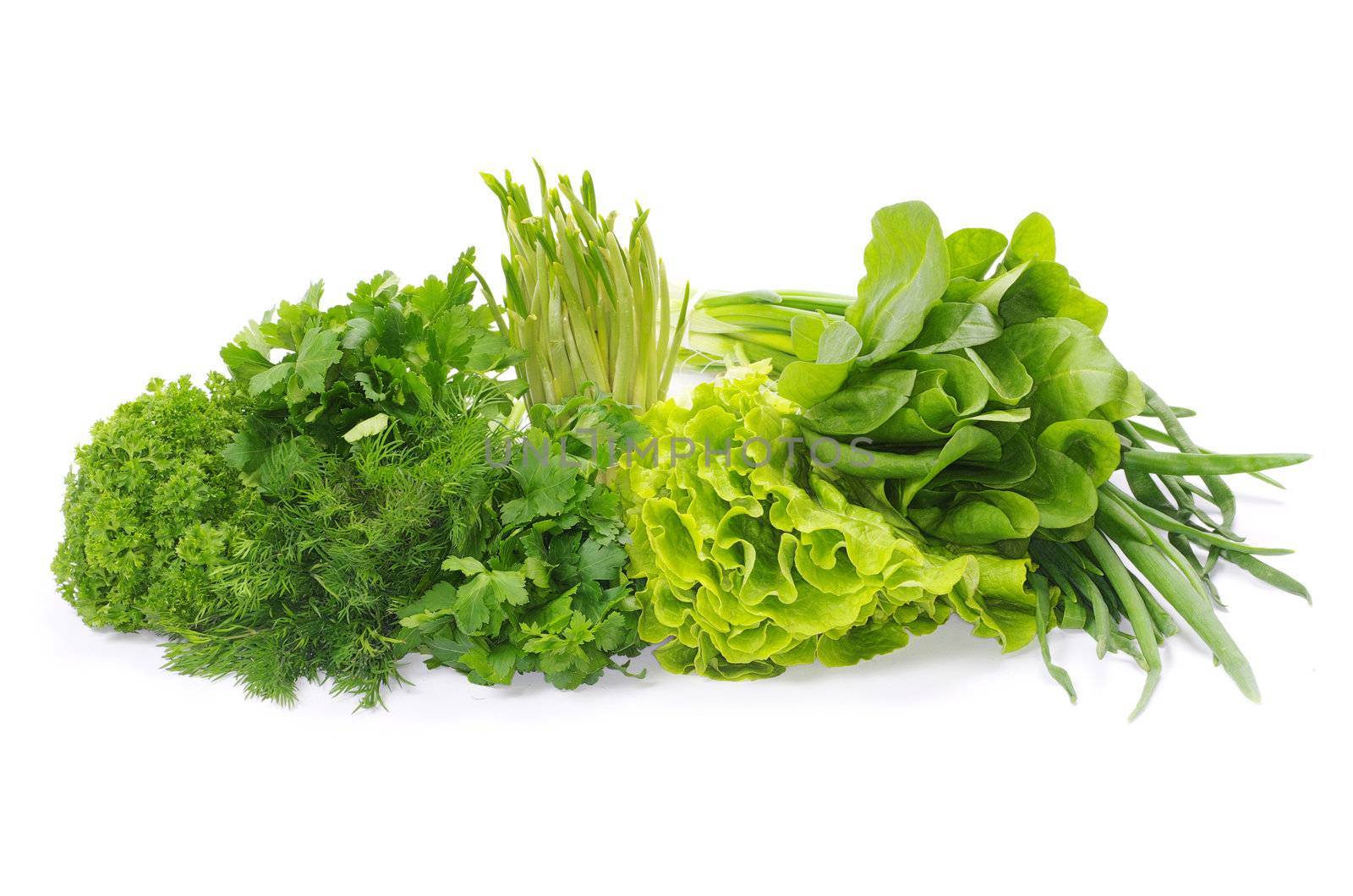Fresh herbs isolated on white