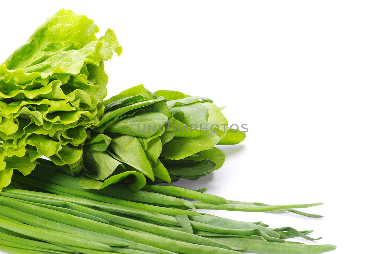Fresh herbs isolated on white