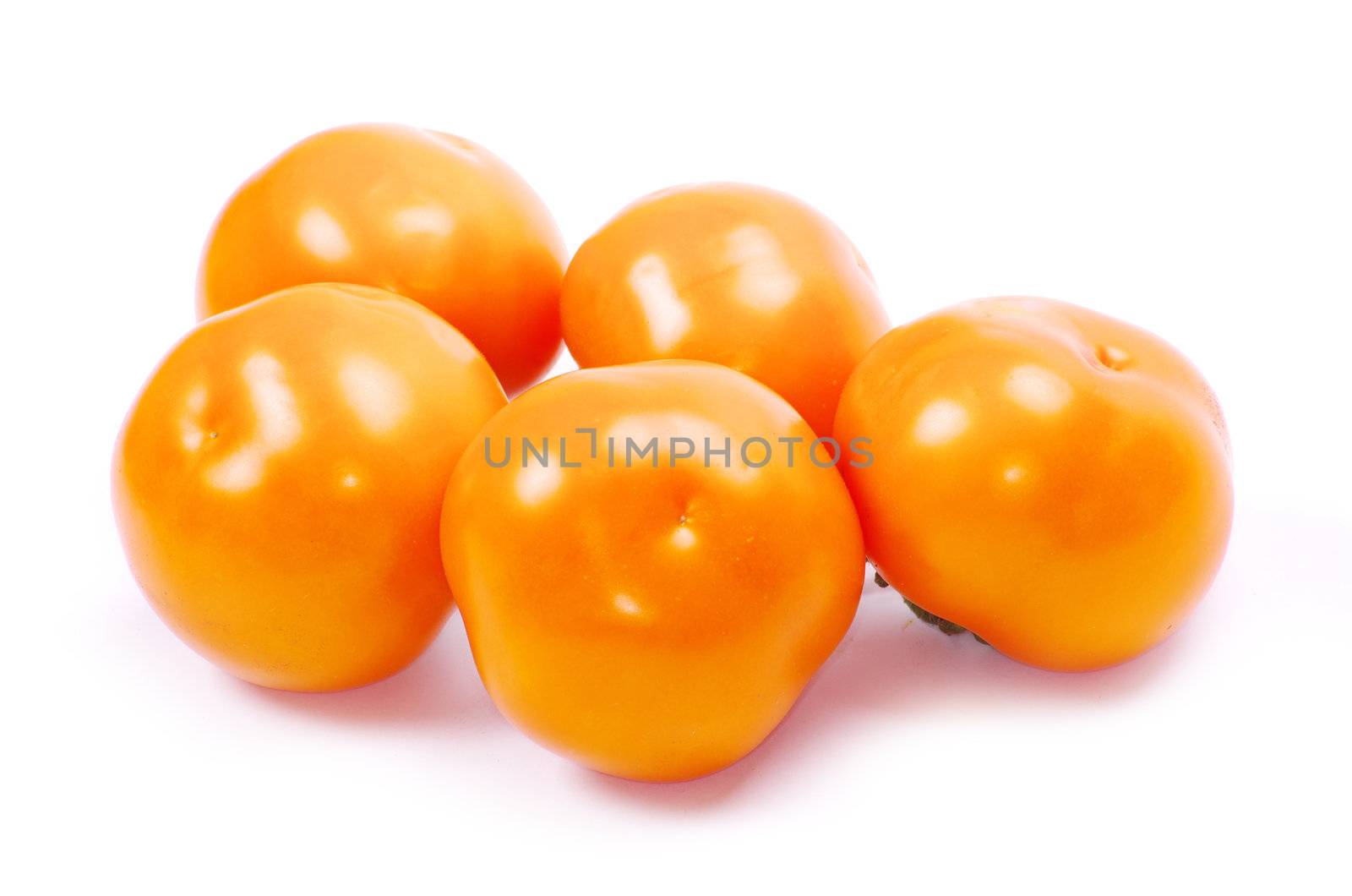  tomato isolated on a white