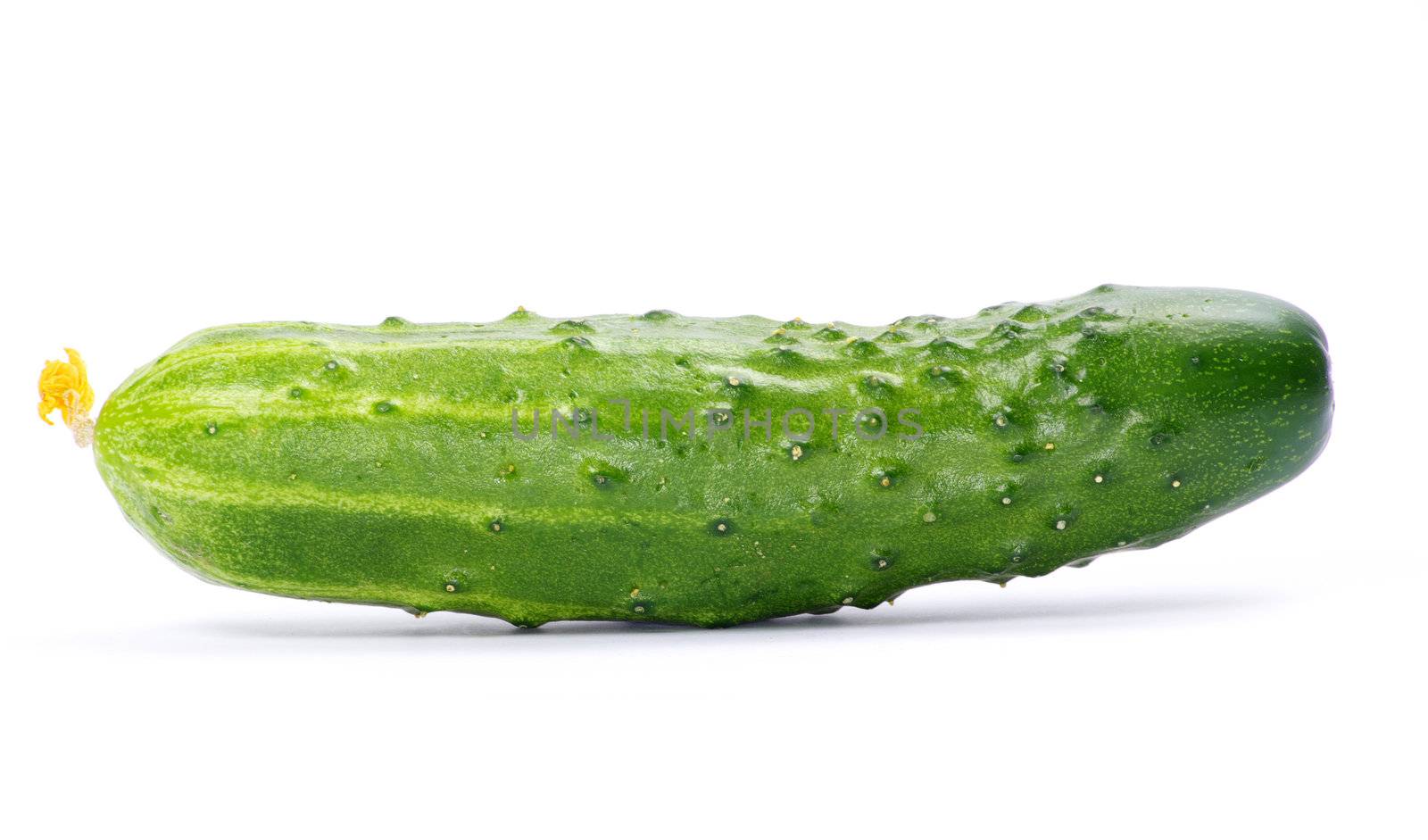 cucumbers on the white background