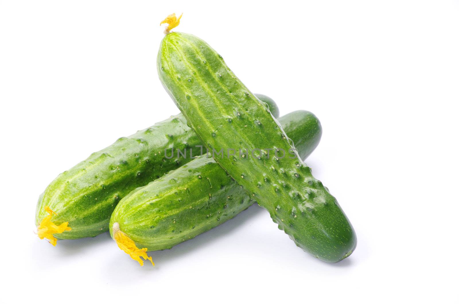 cucumbers on the white background