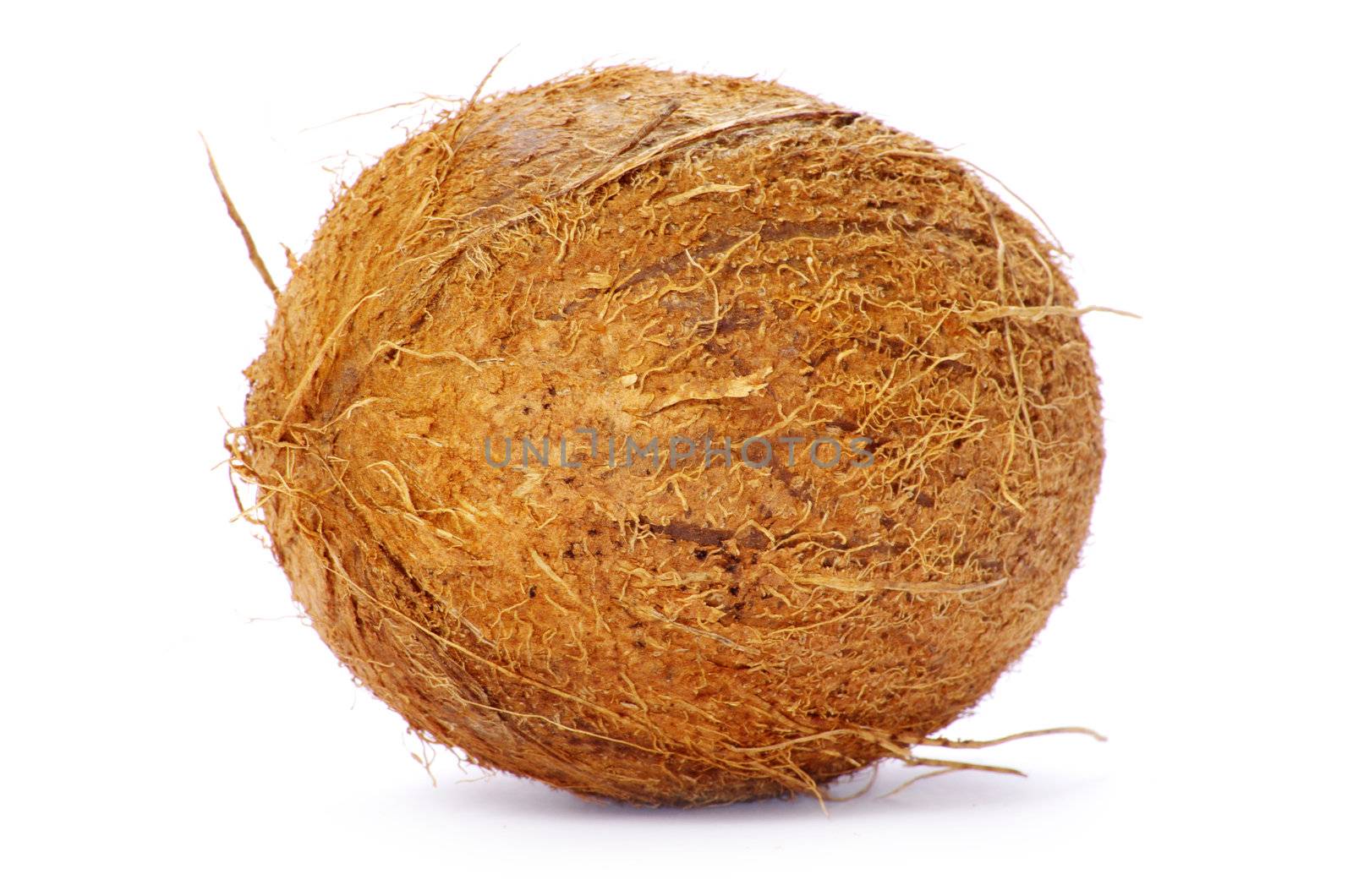 Whole coconut on white background