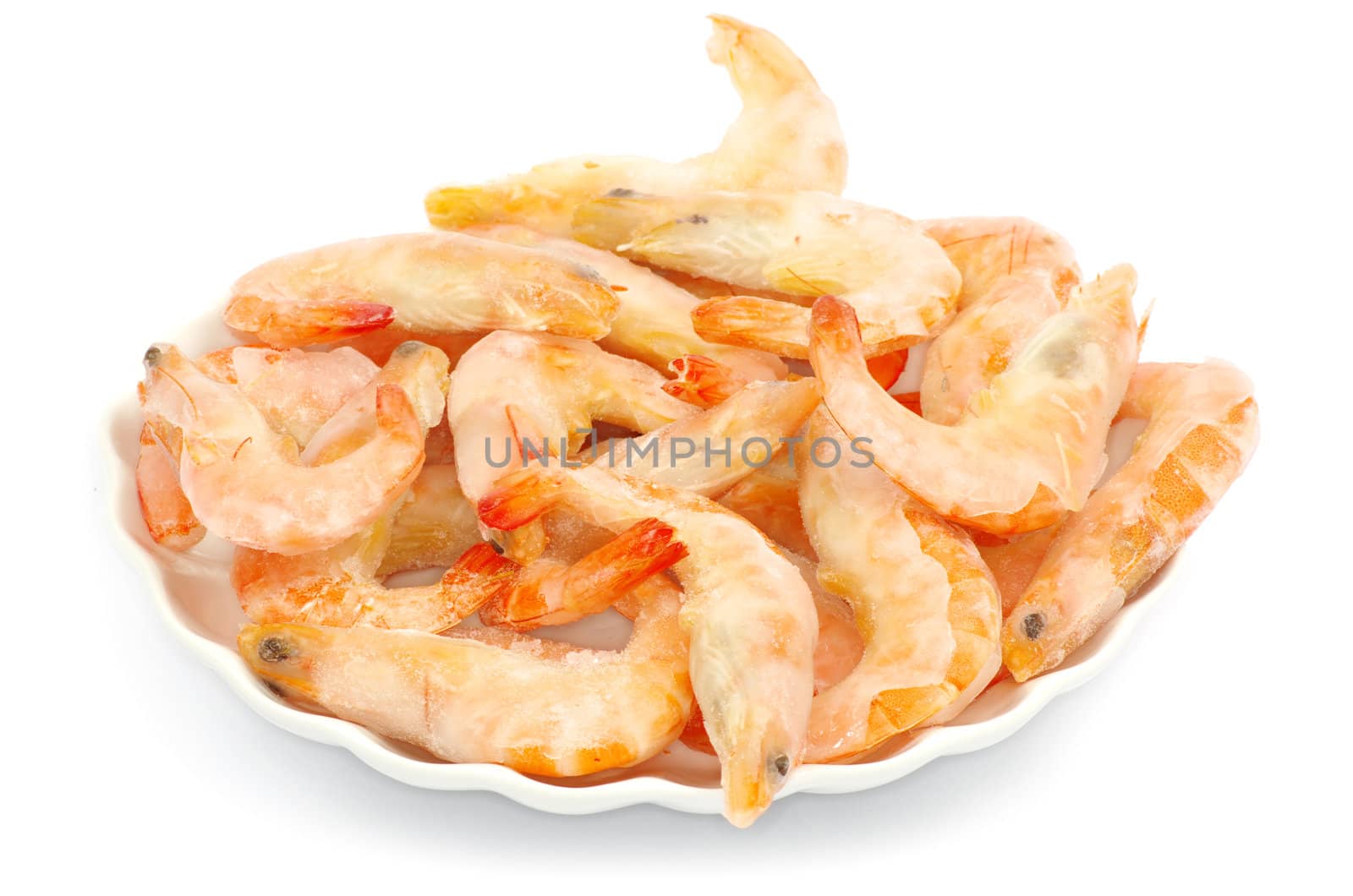 shrimp isolated on a white background