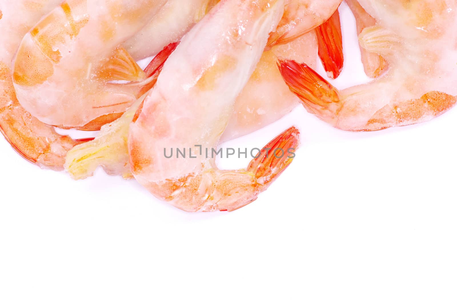 shrimp isolated on a white background