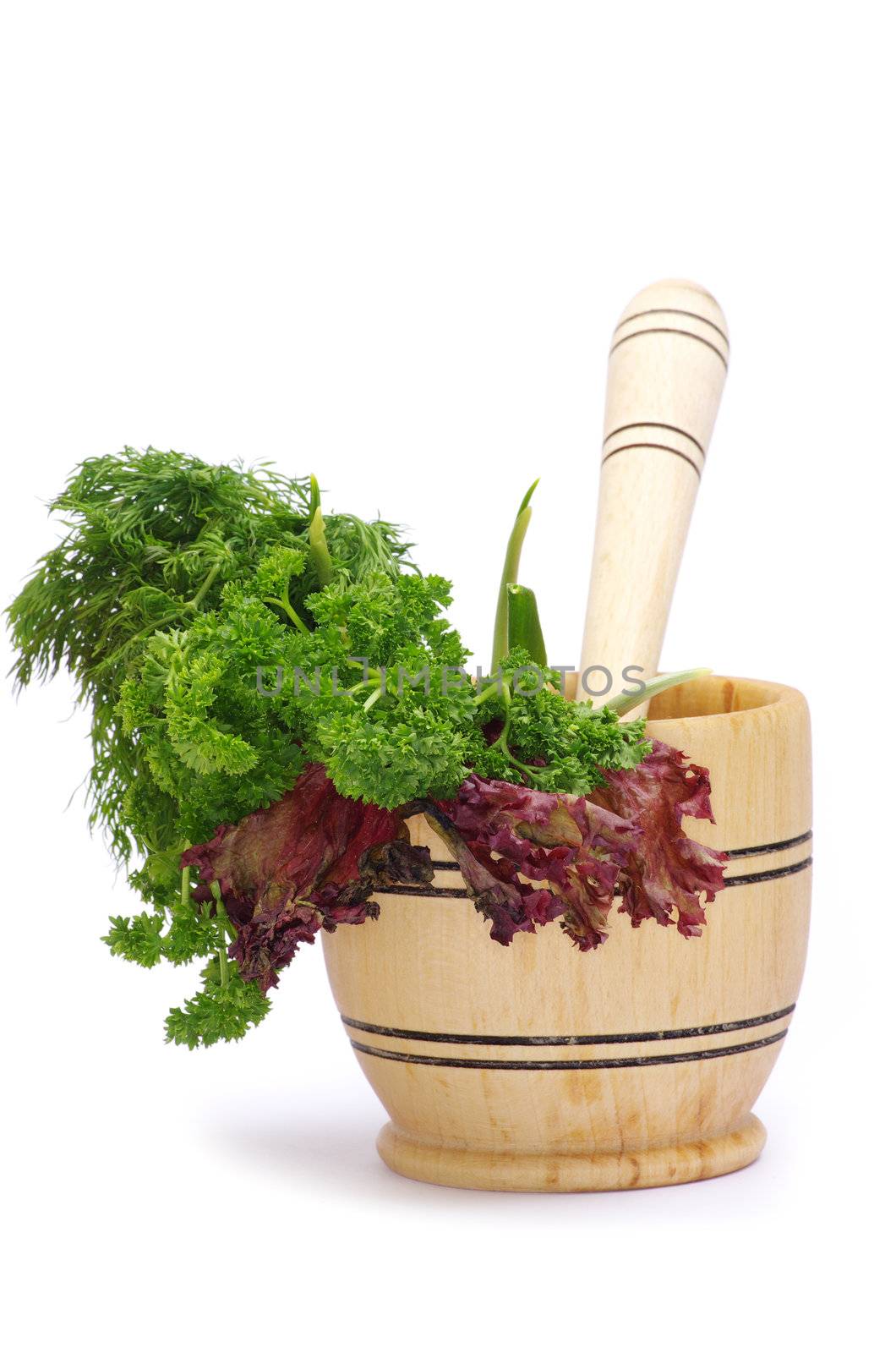 Healing herbs on white background 