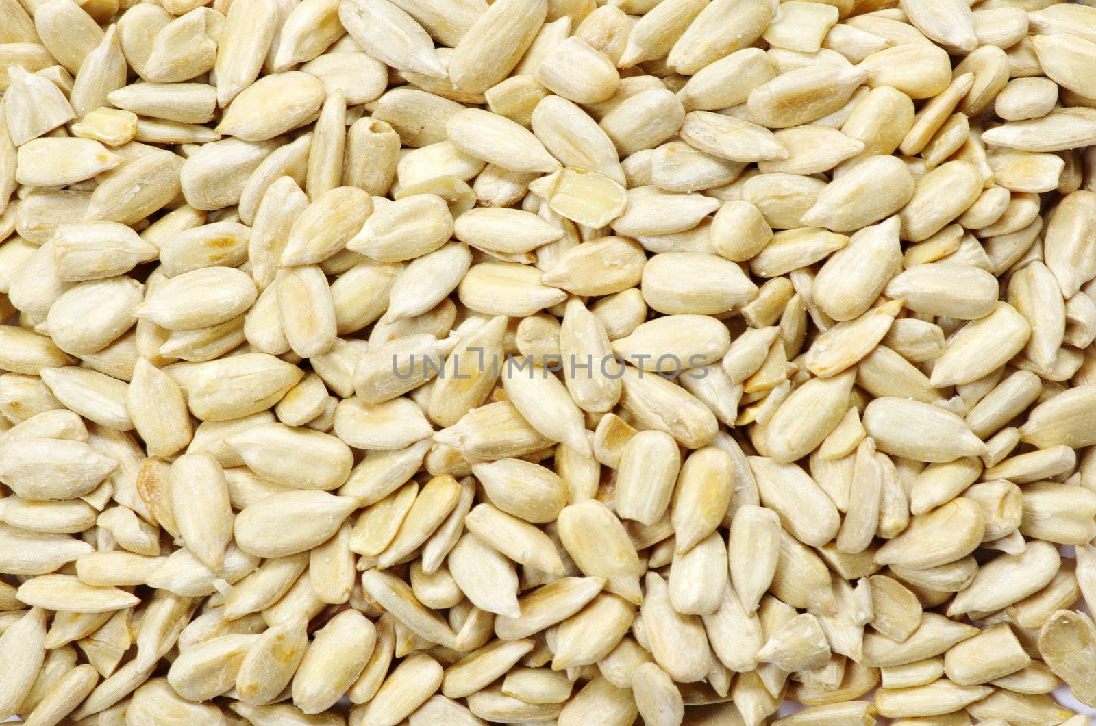 roasted sunflower seeds close up