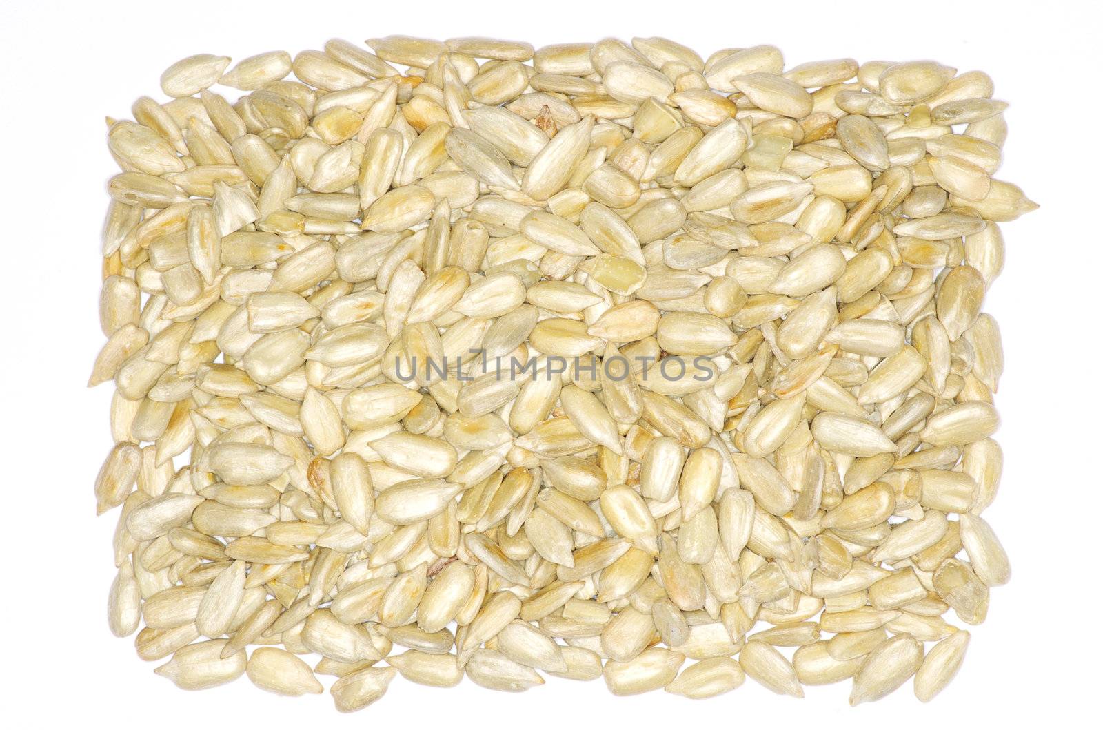sunflower seeds isolated on white