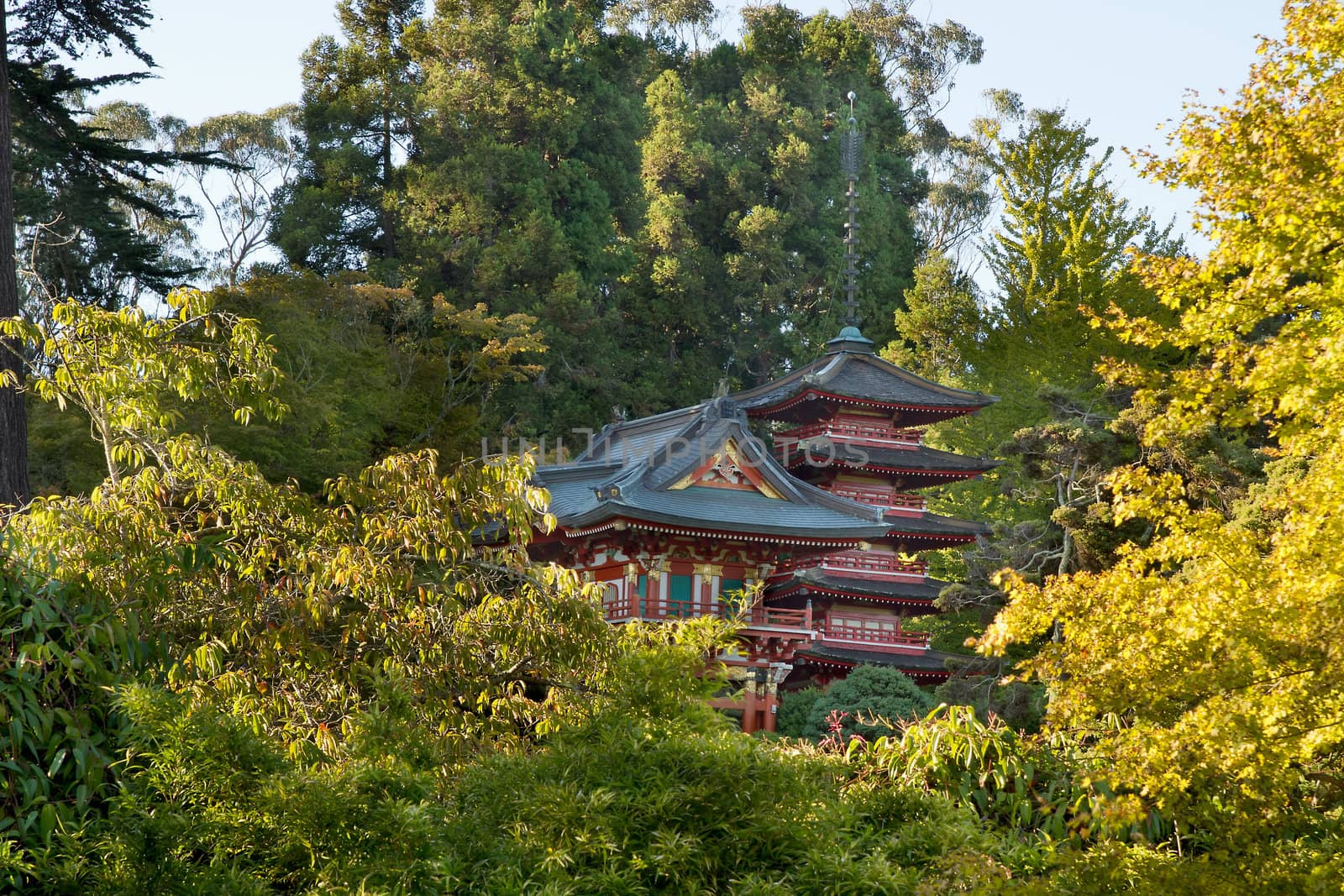 Pagodas in San Francisco Japanese Garden in Golden Gate Park California