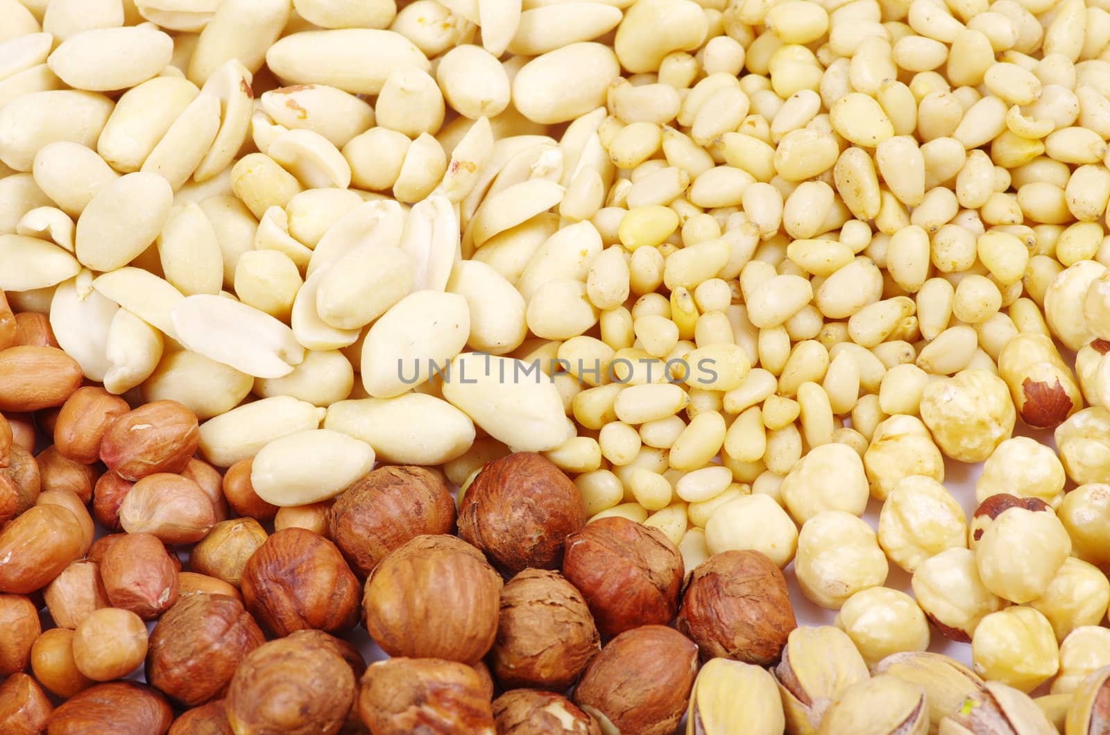 various nuts on a background