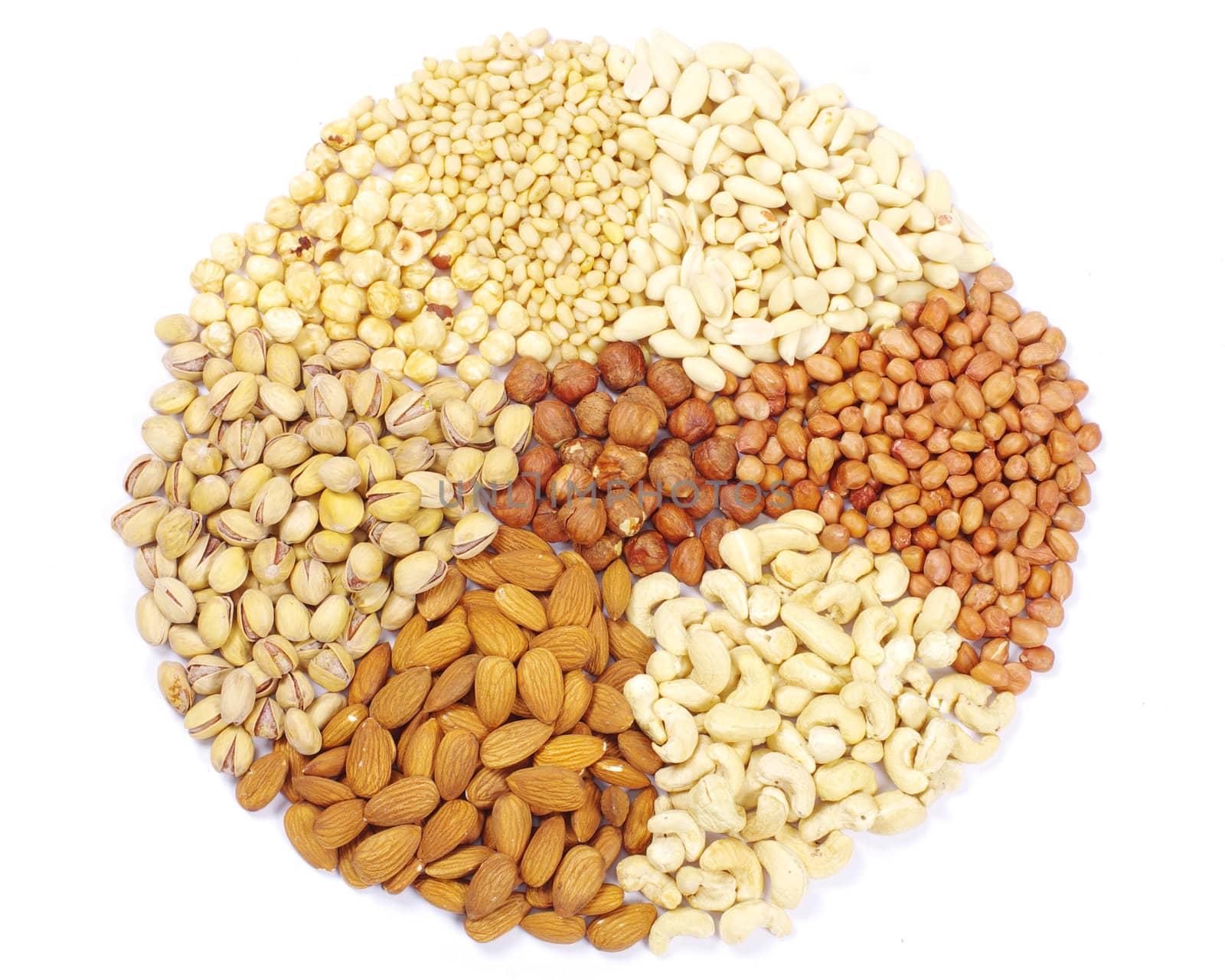nuts collection isolated on background