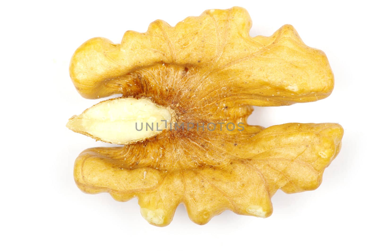 Walnuts isolated on white background