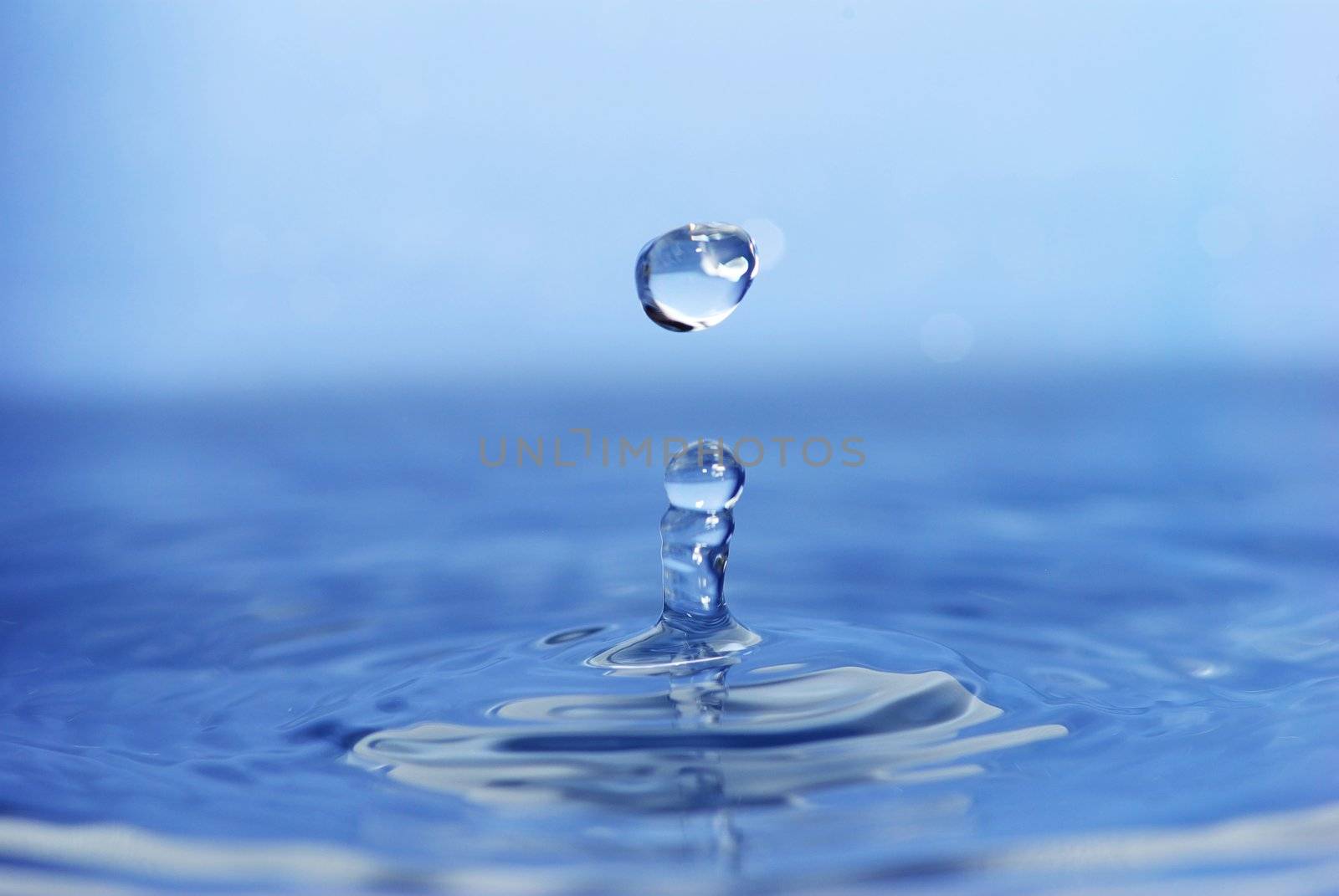 The round transparent drop of water falls downward