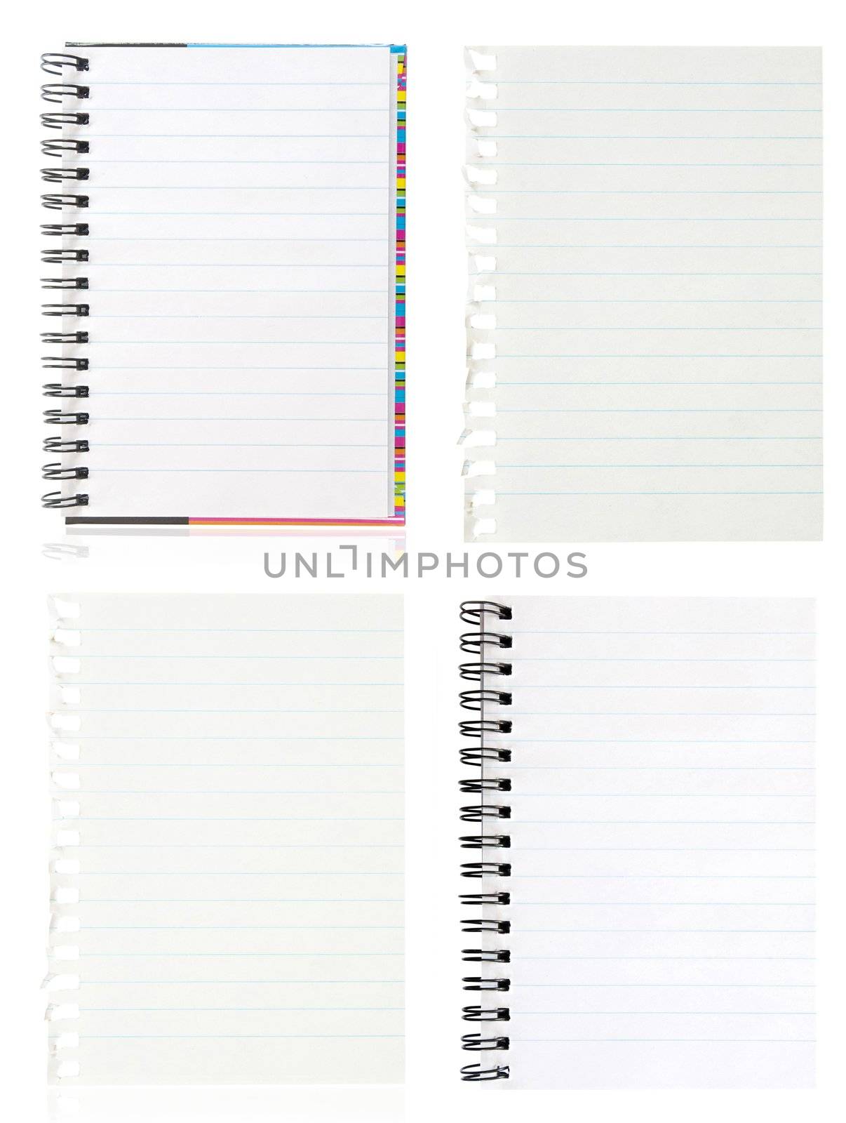 A page ripped off from the notebook