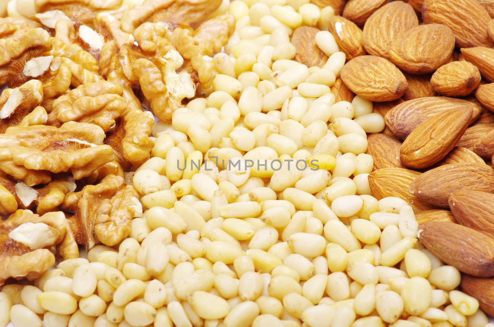 mixed nuts on a background