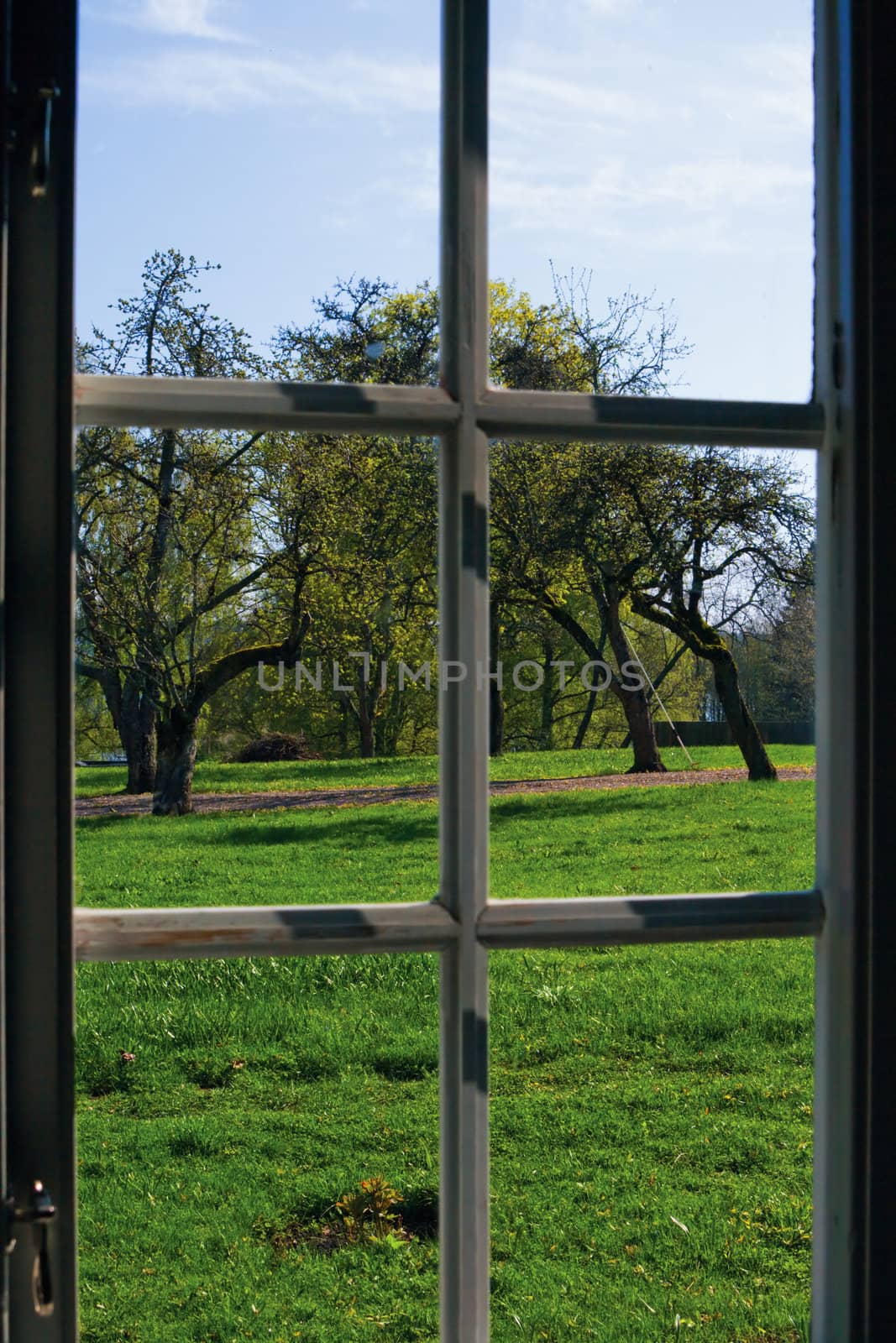 The view from the windows of the picturesque garden trees in the spring in Sweden
