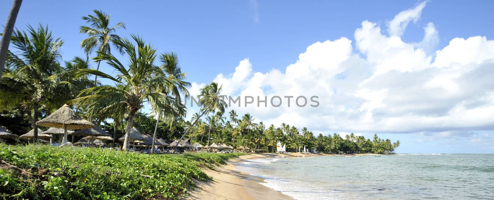 Praia do Forte in Salavador de Bahia state, Brazil