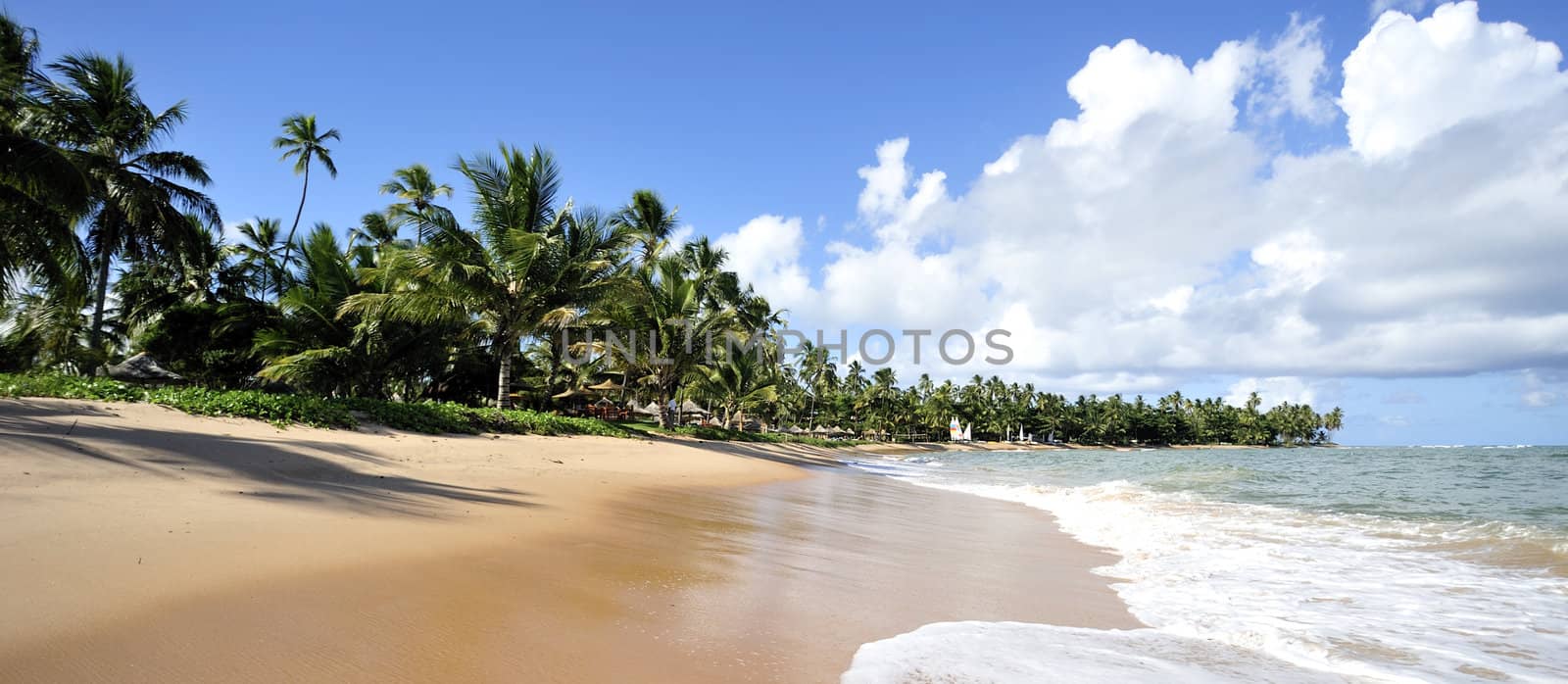 Praia do Forte in Salavador de Bahia state, Brazil