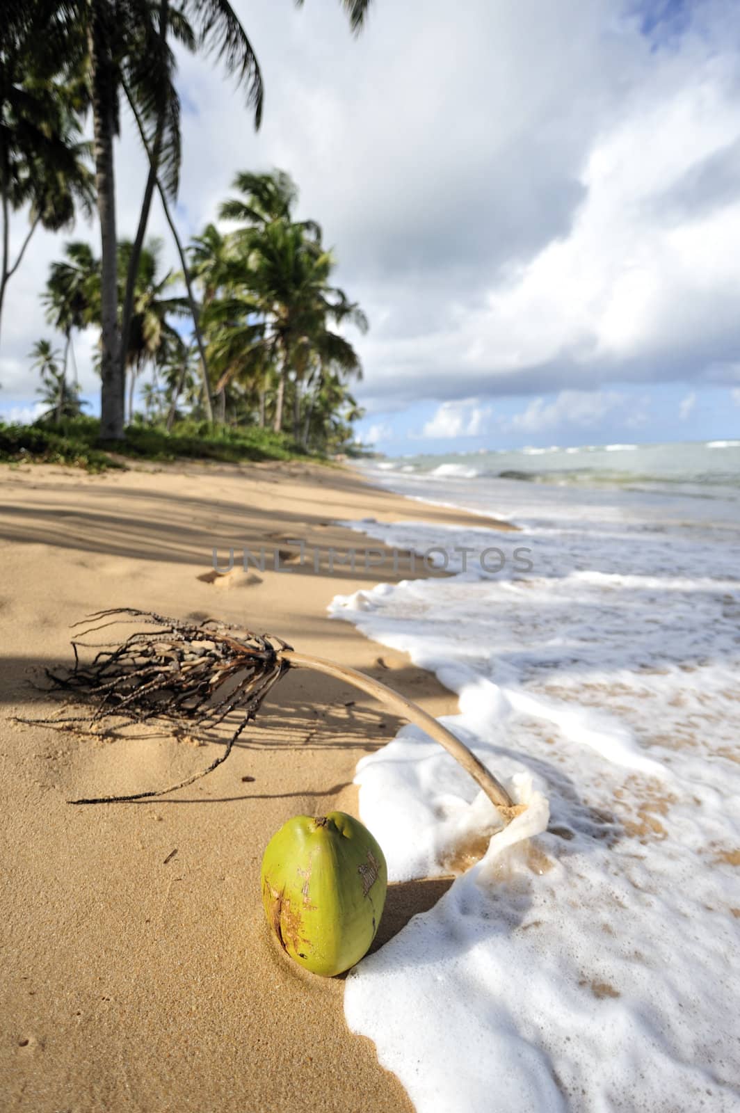 Praia do Forte in Salavador de Bahia state, Brazil