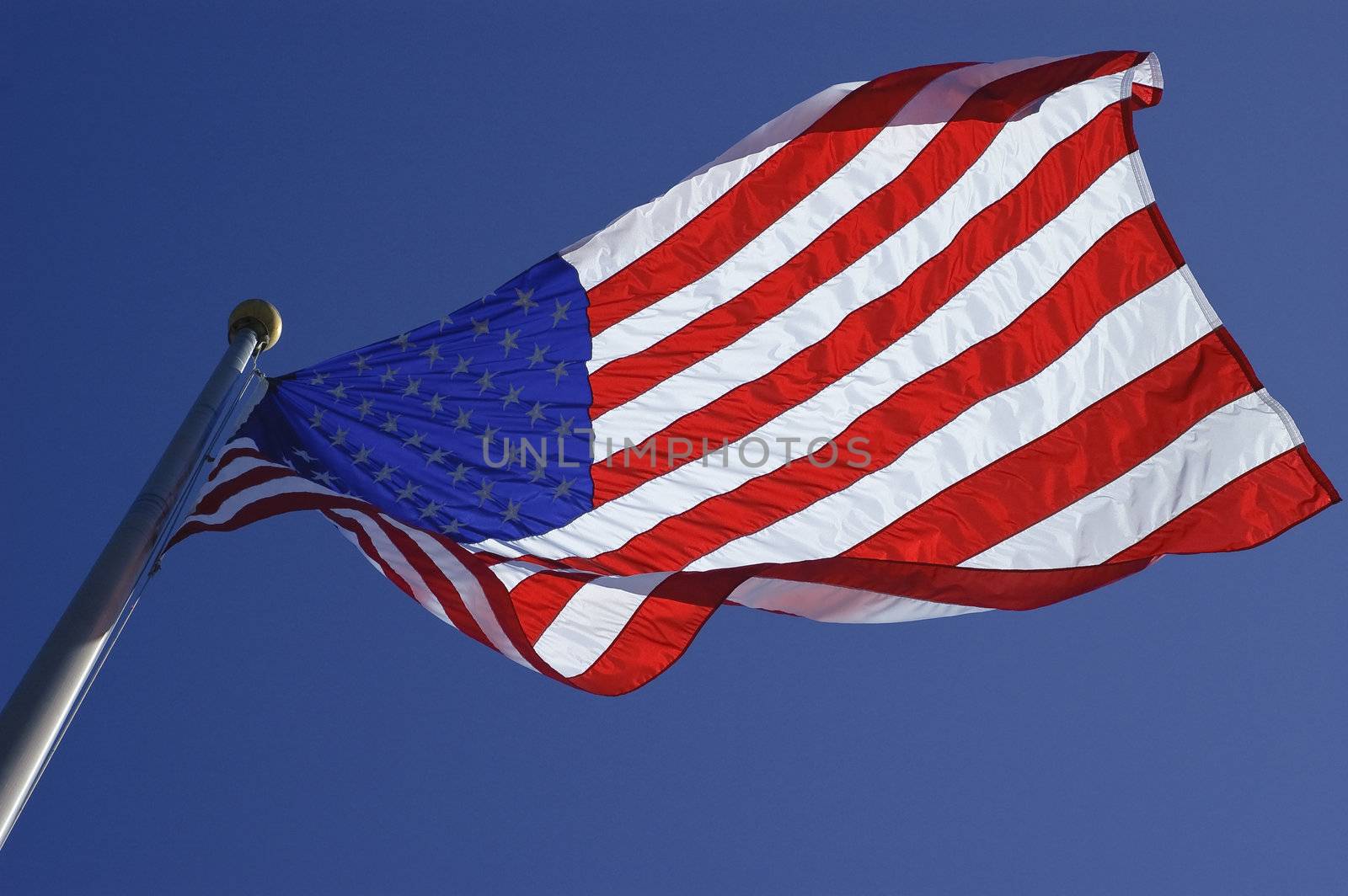 American Flag by ralarcon