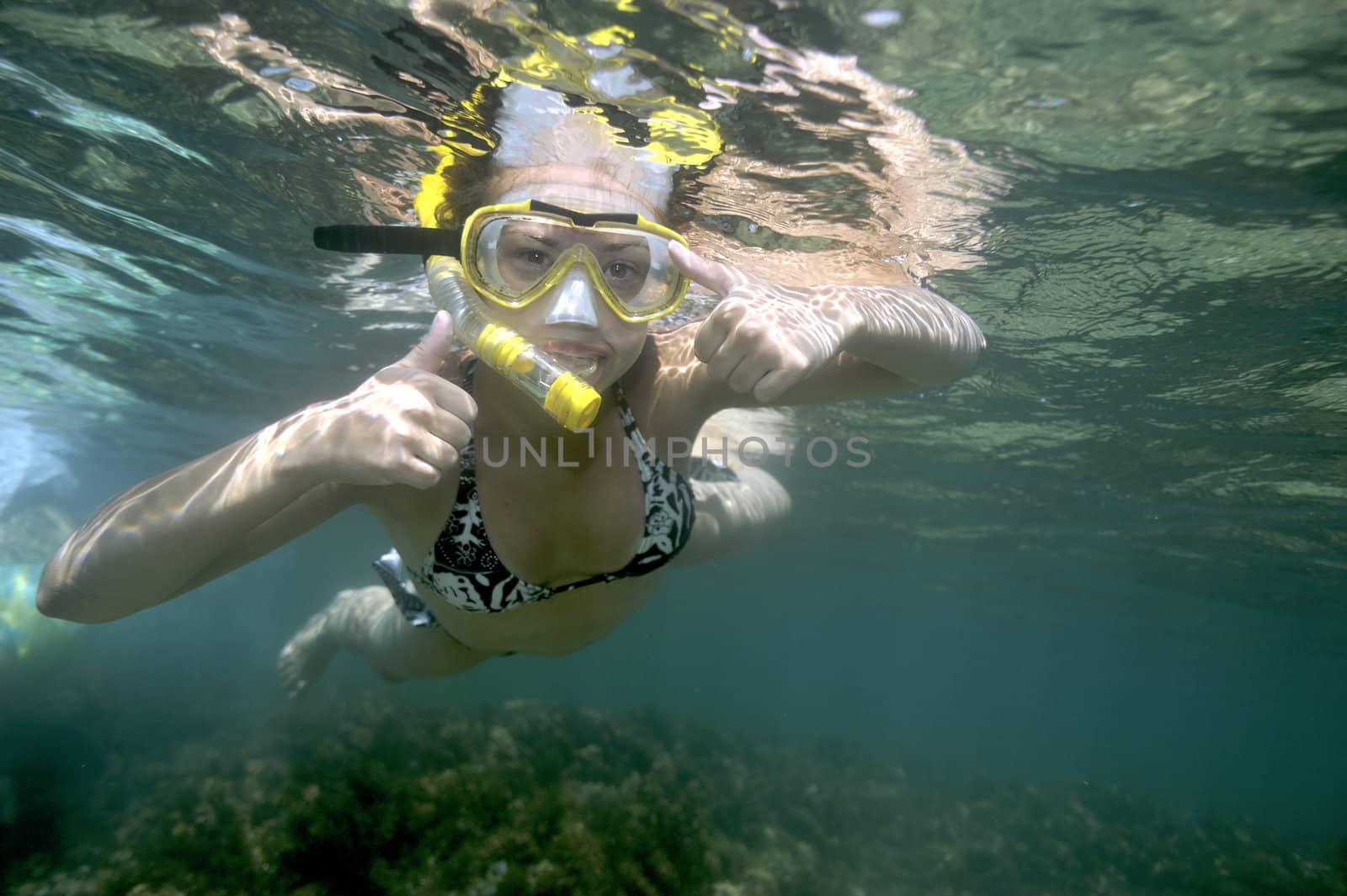 Scuba diving with underwater view.