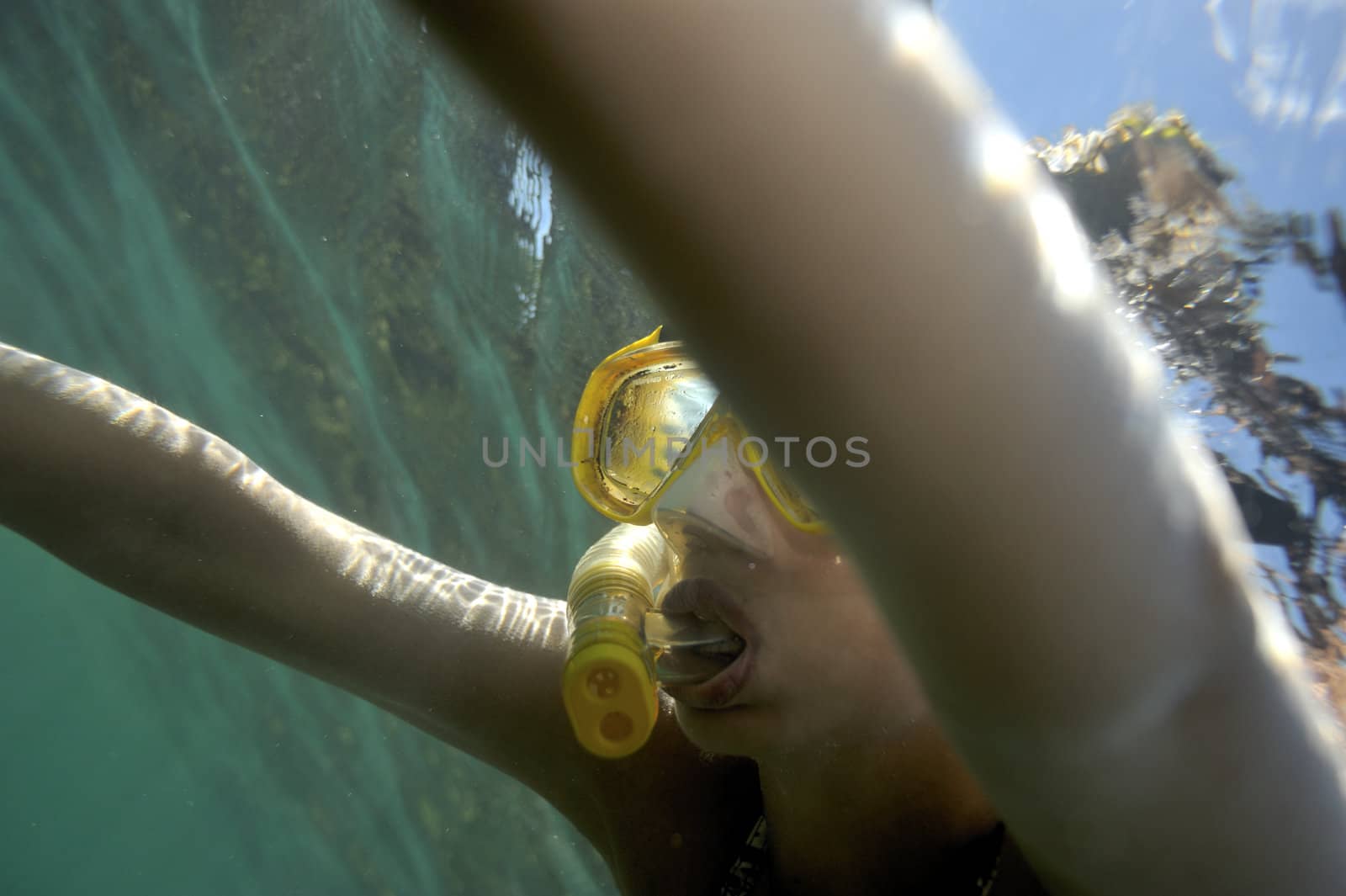 Scuba diving with underwater view.