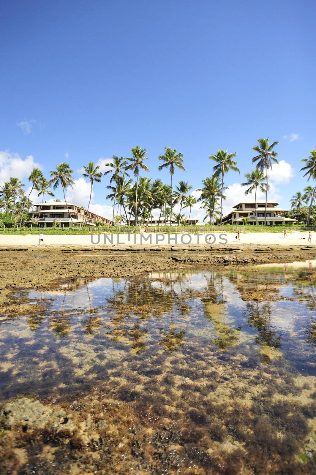 Praia do Forte in Salvador de Bahia state, Brazil