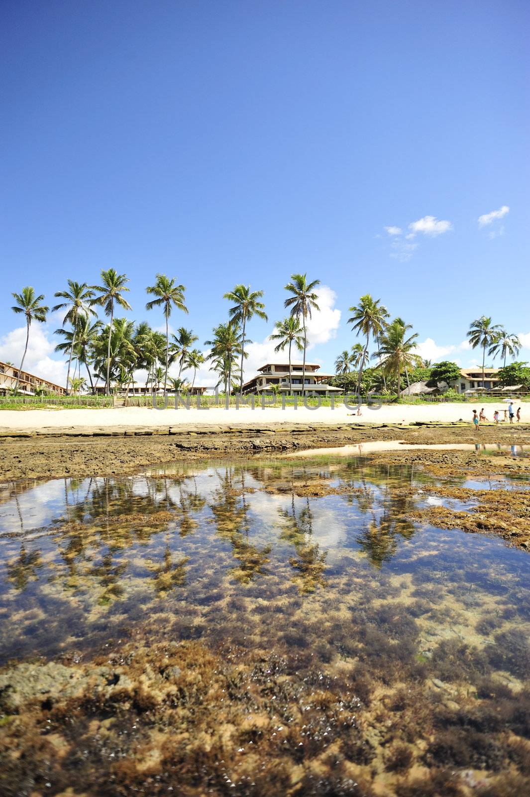 Praia do Forte in Salvador de Bahia state, Brazil