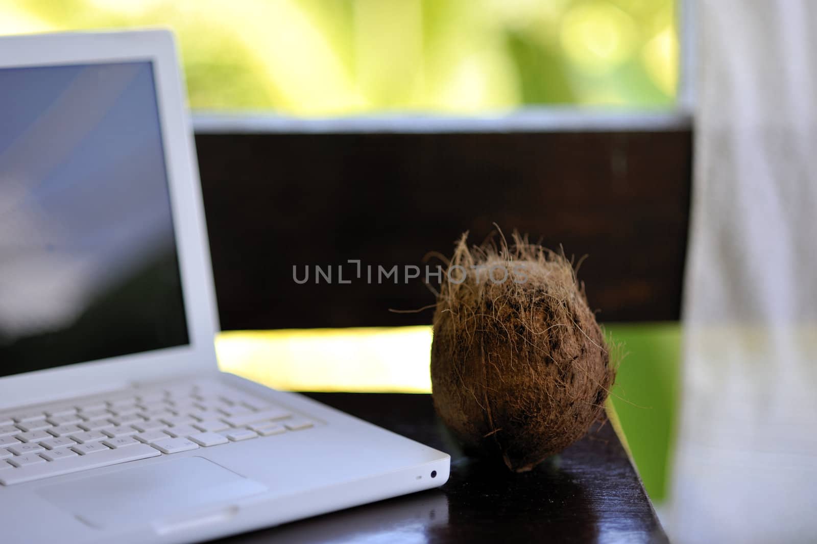 Laptopt with coconut