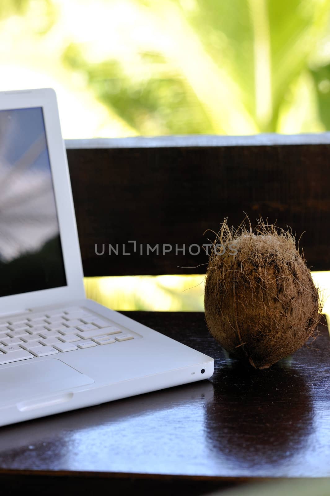 Laptopt with coconut