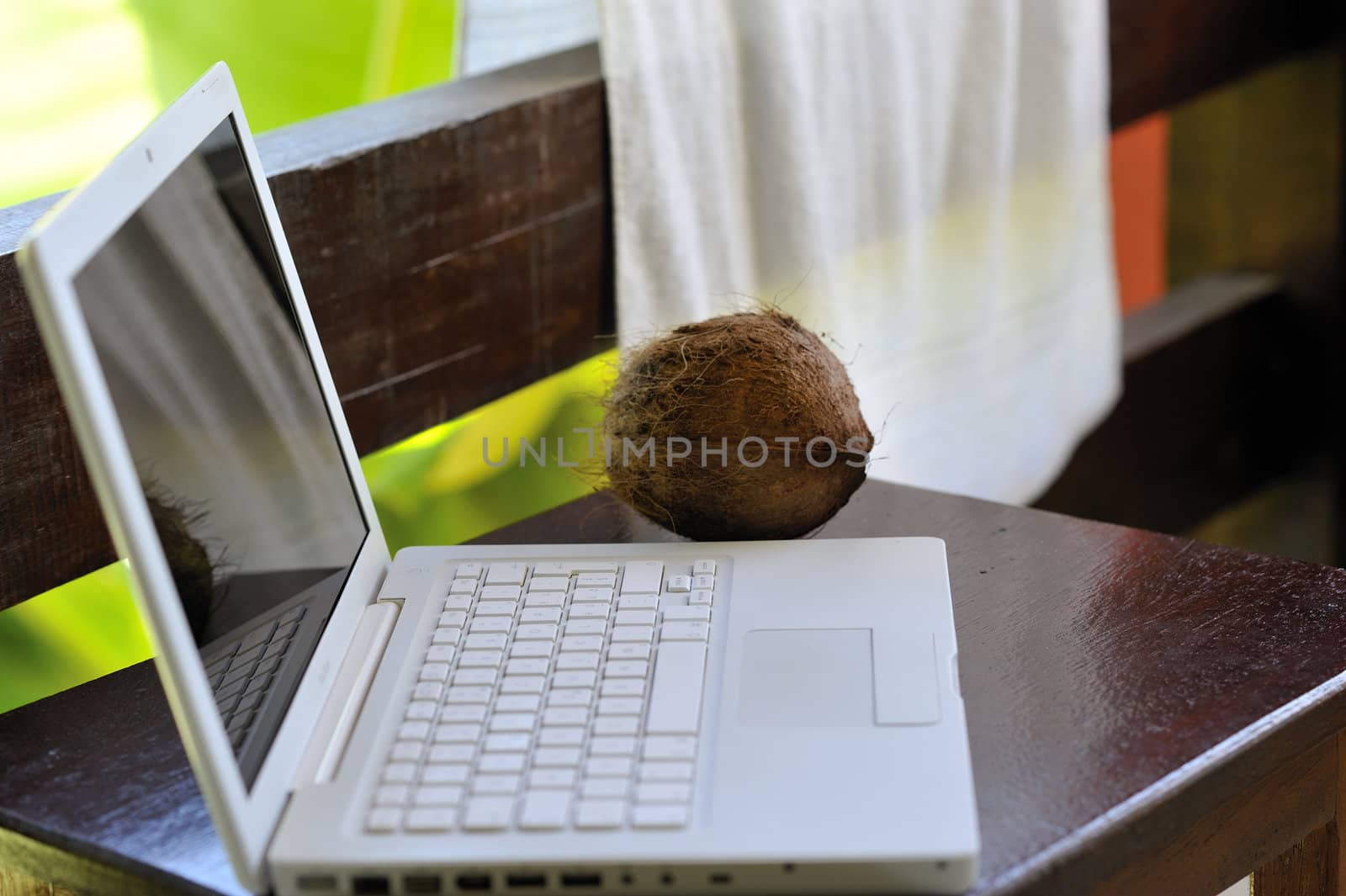 Laptopt with coconut