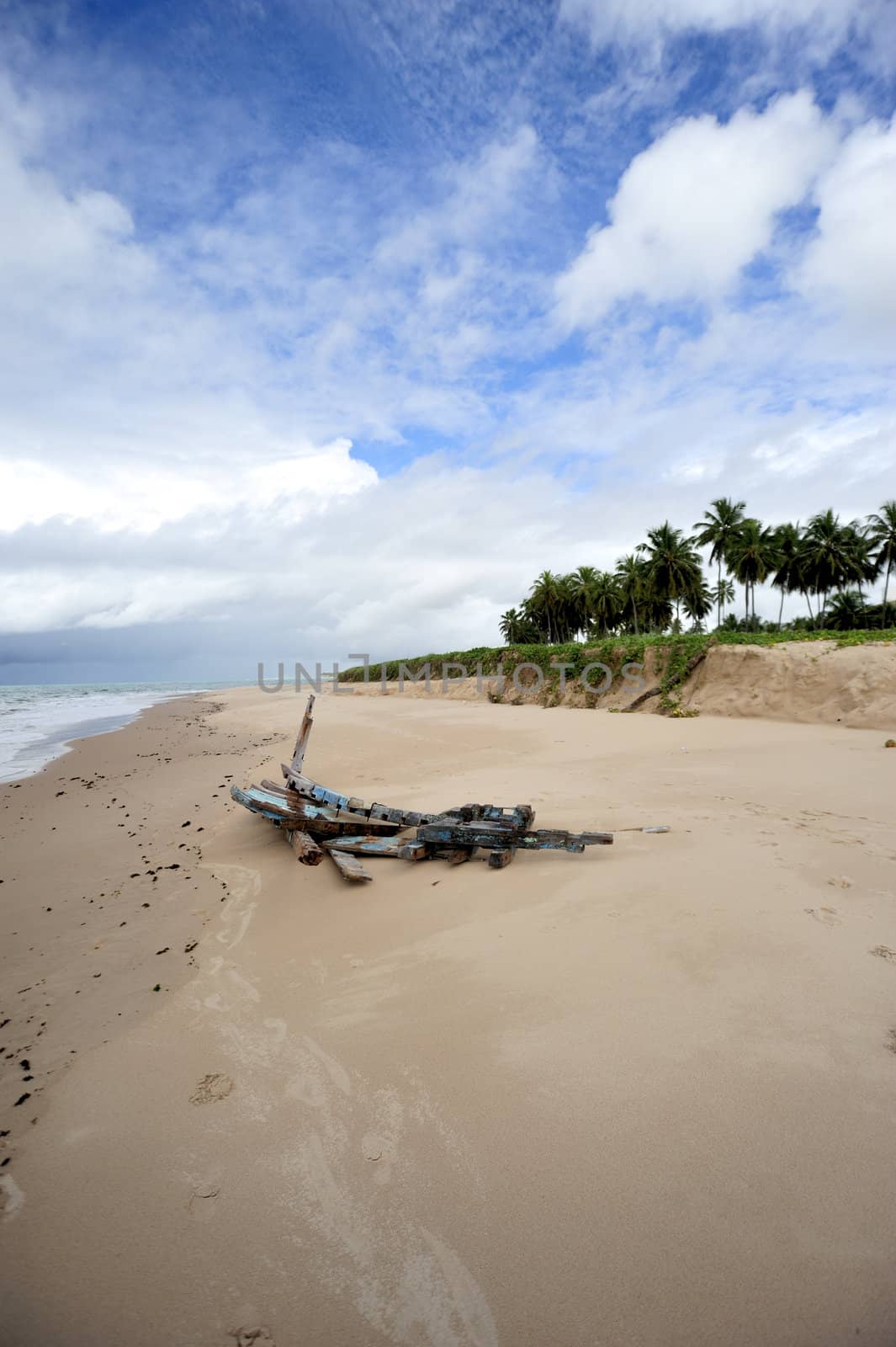 Praia do forte in Salavador de Bahia state, Brazil