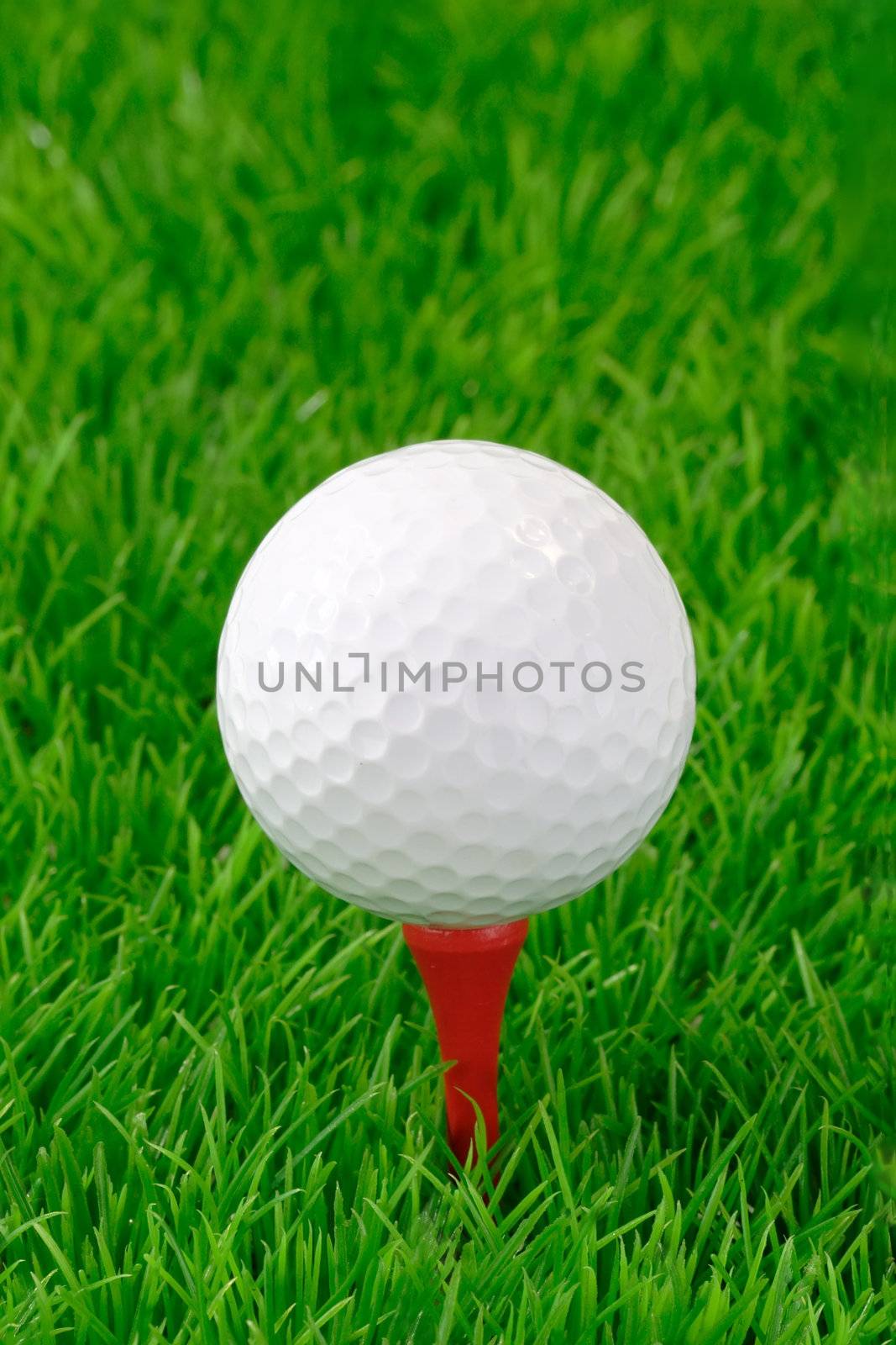 Closeup from white golf ball on green grass