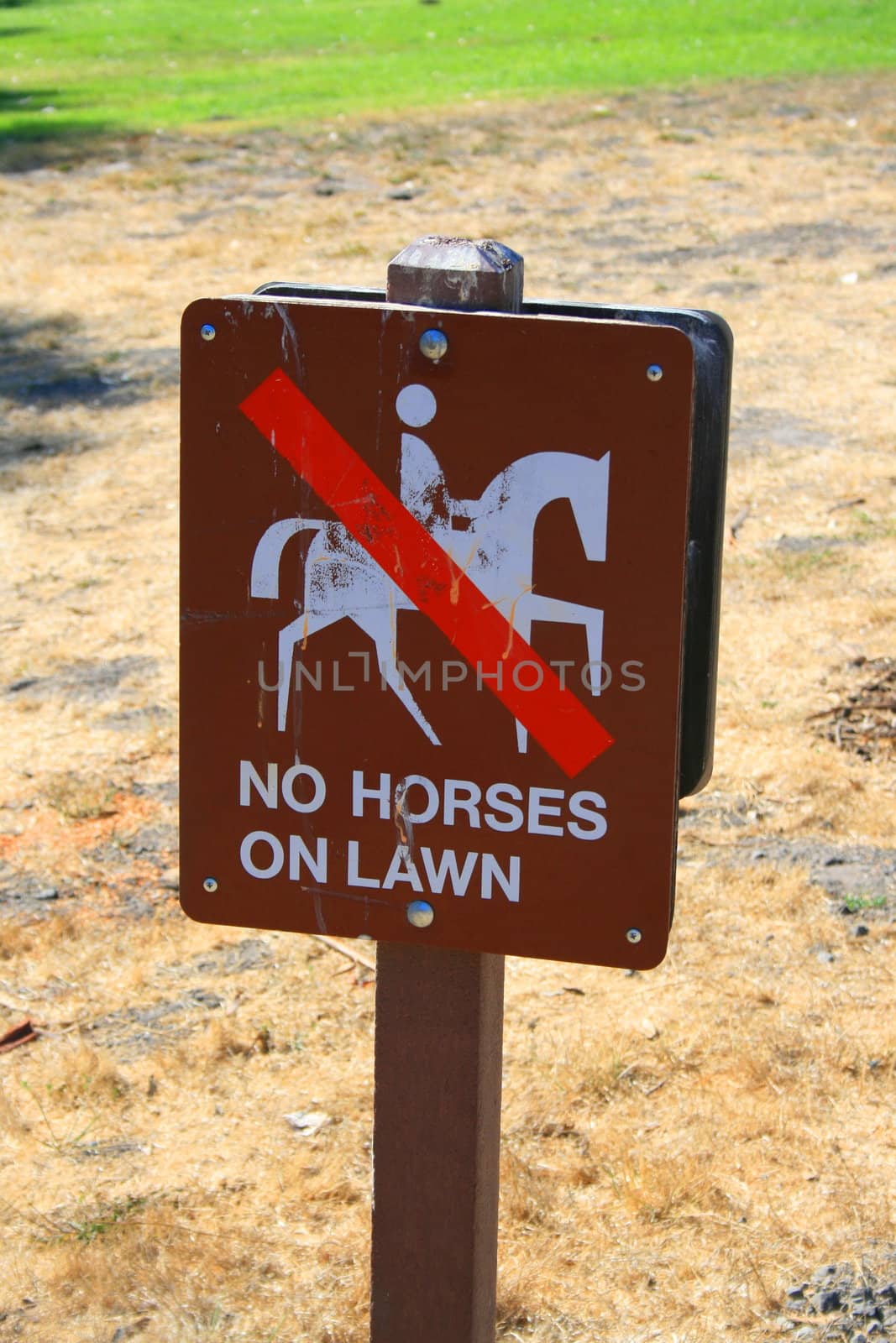 No horses on lawn sign in a park.
