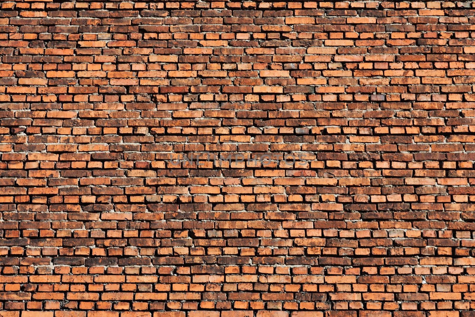 Brick wall background urban city building scene