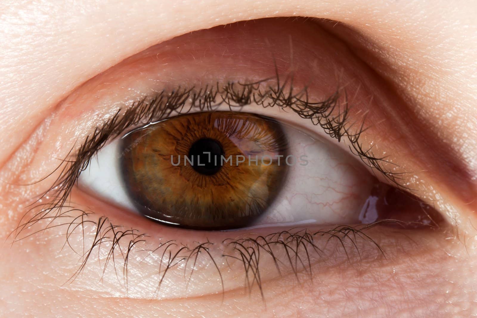 Human body part - beauty looking women eye macro